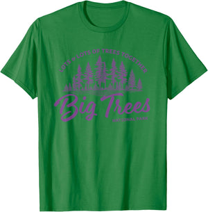 Big Trees Park - Hanson Band Fan Concert Tour Wear T-Shirt - T-Shirt | Irish Green