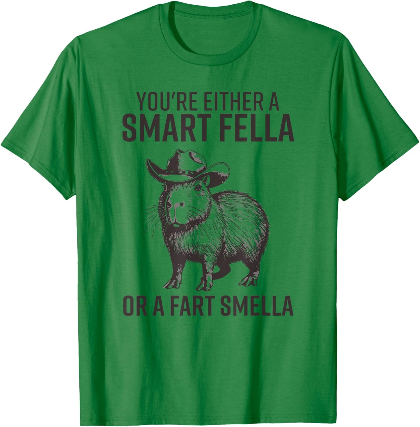 You're Either A Smart Fella Or A Fart Smella Funny Capybara T-Shirt - T-Shirt | Irish Green