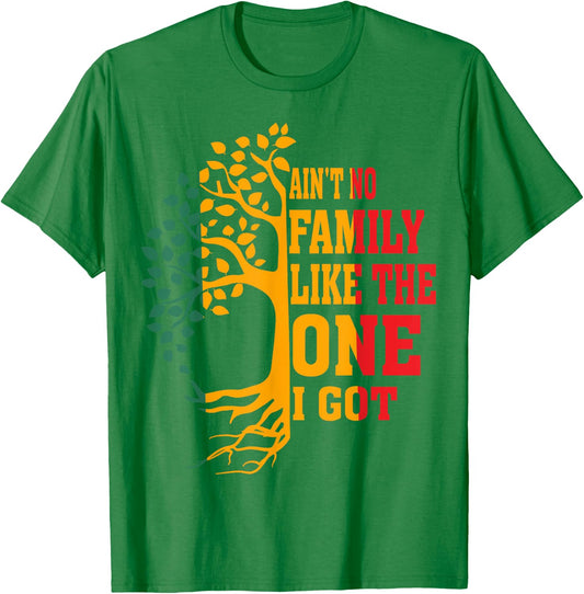 Ain't No Family Like The One I Got Funny Family Reunion 2024 T-Shirt - T-Shirt | Irish Green