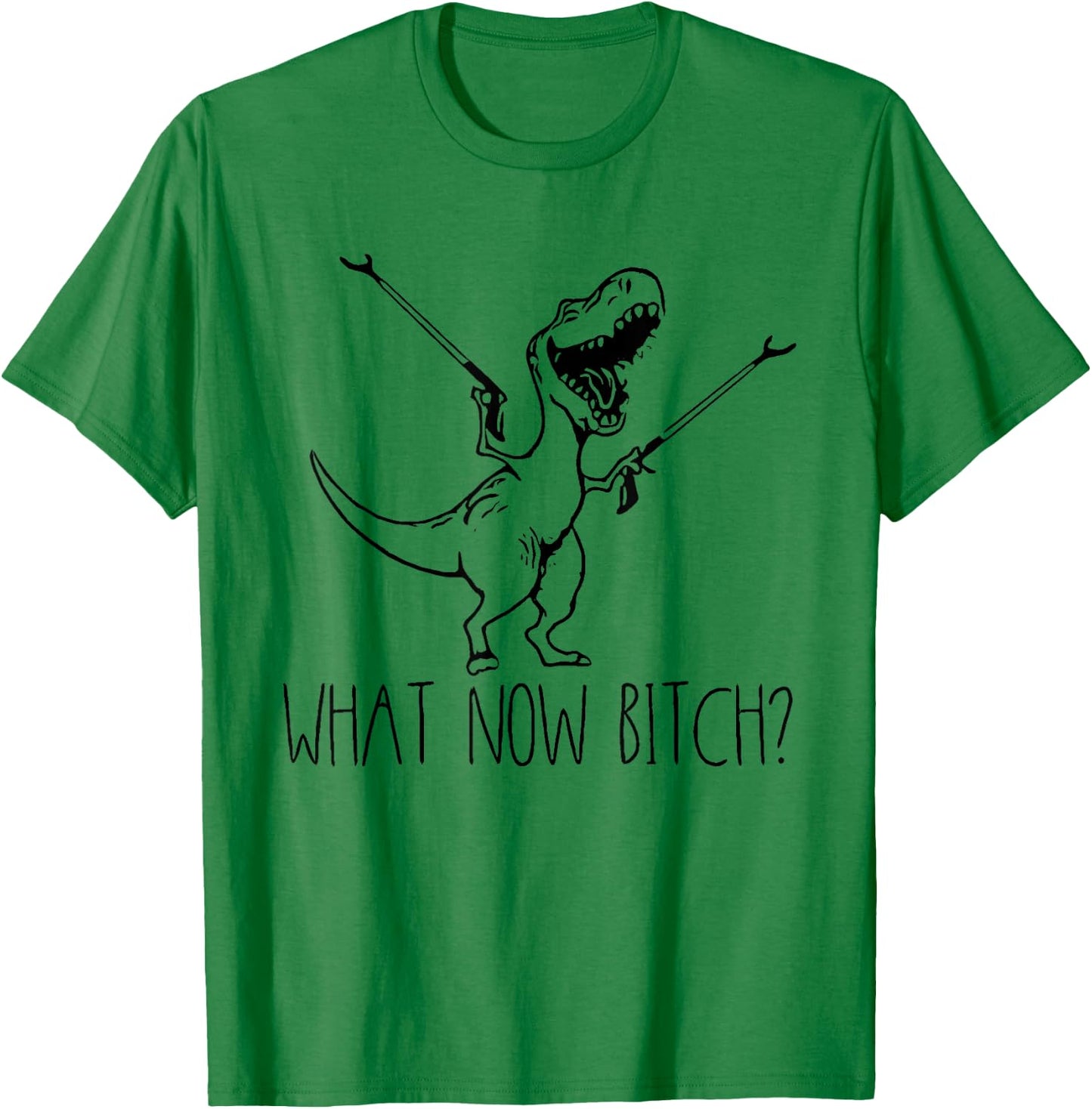 What Now Bich Funny T Rex Dinosaur Saying Quote Men Women T-Shirt - T-Shirt | Irish Green