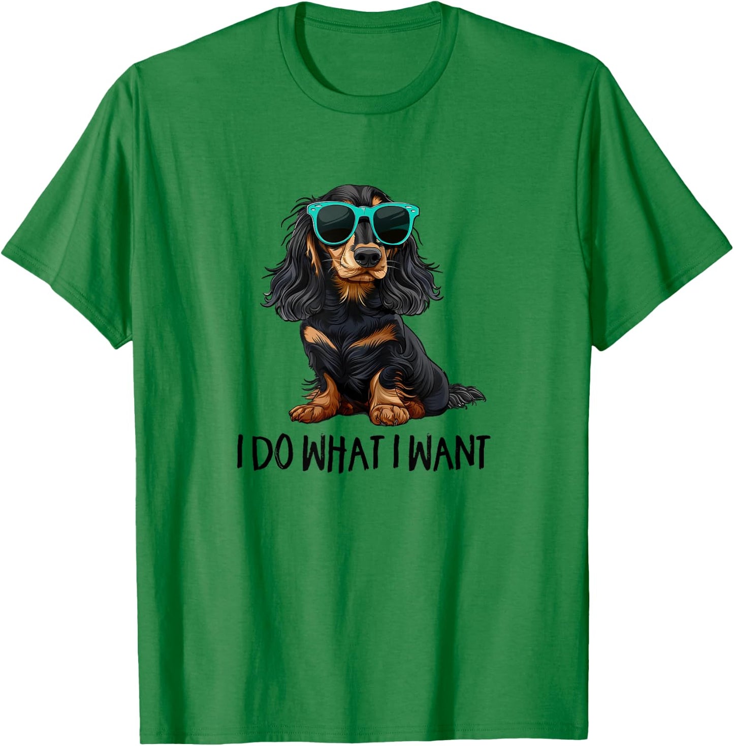 Funny Do What I Want Black Long Haired Dachshund Lover T-Shirt - T-Shirt | Irish Green