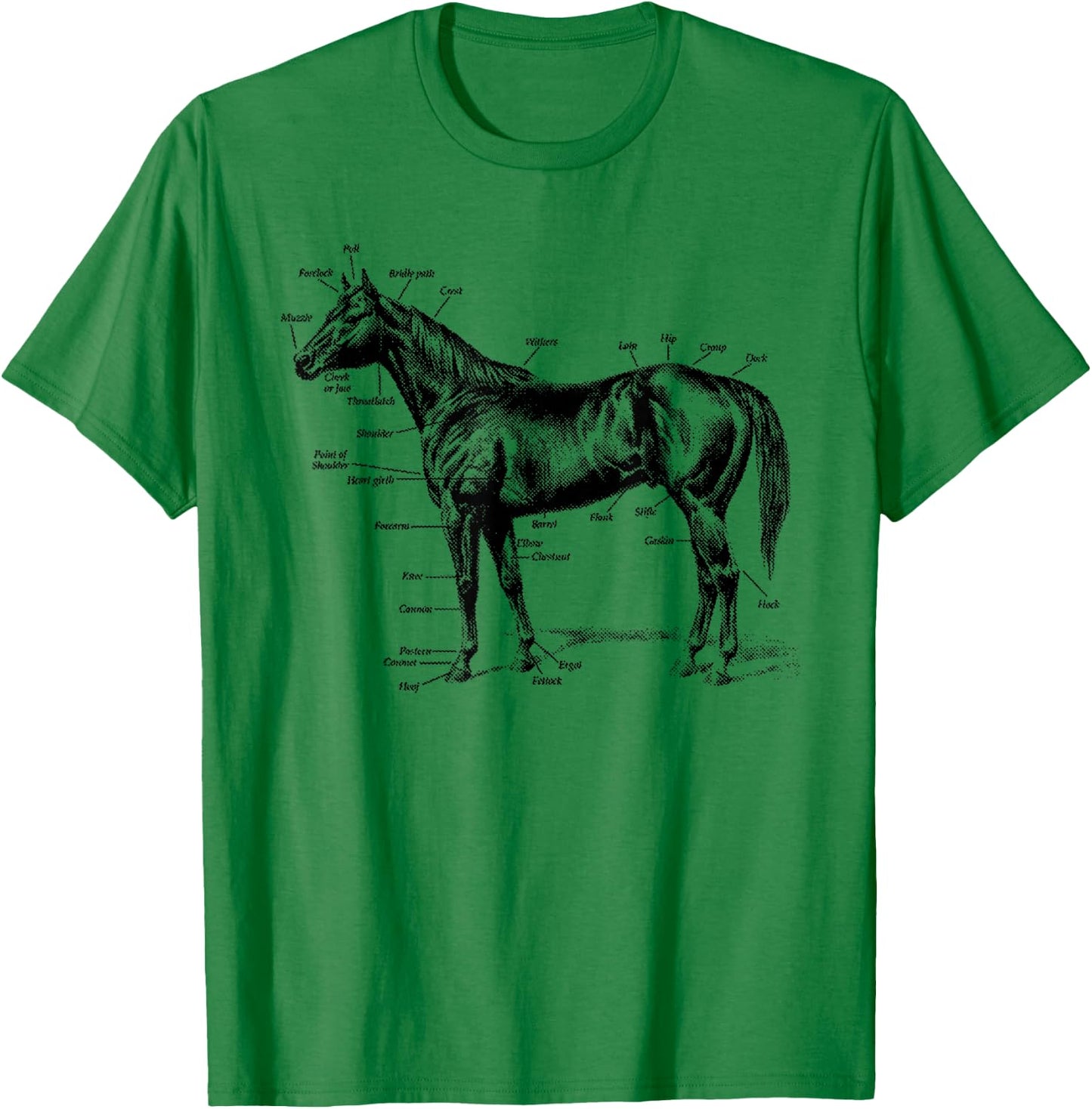 Big Texas Anatomy of a Horse T-Shirt - T-Shirt | Irish Green