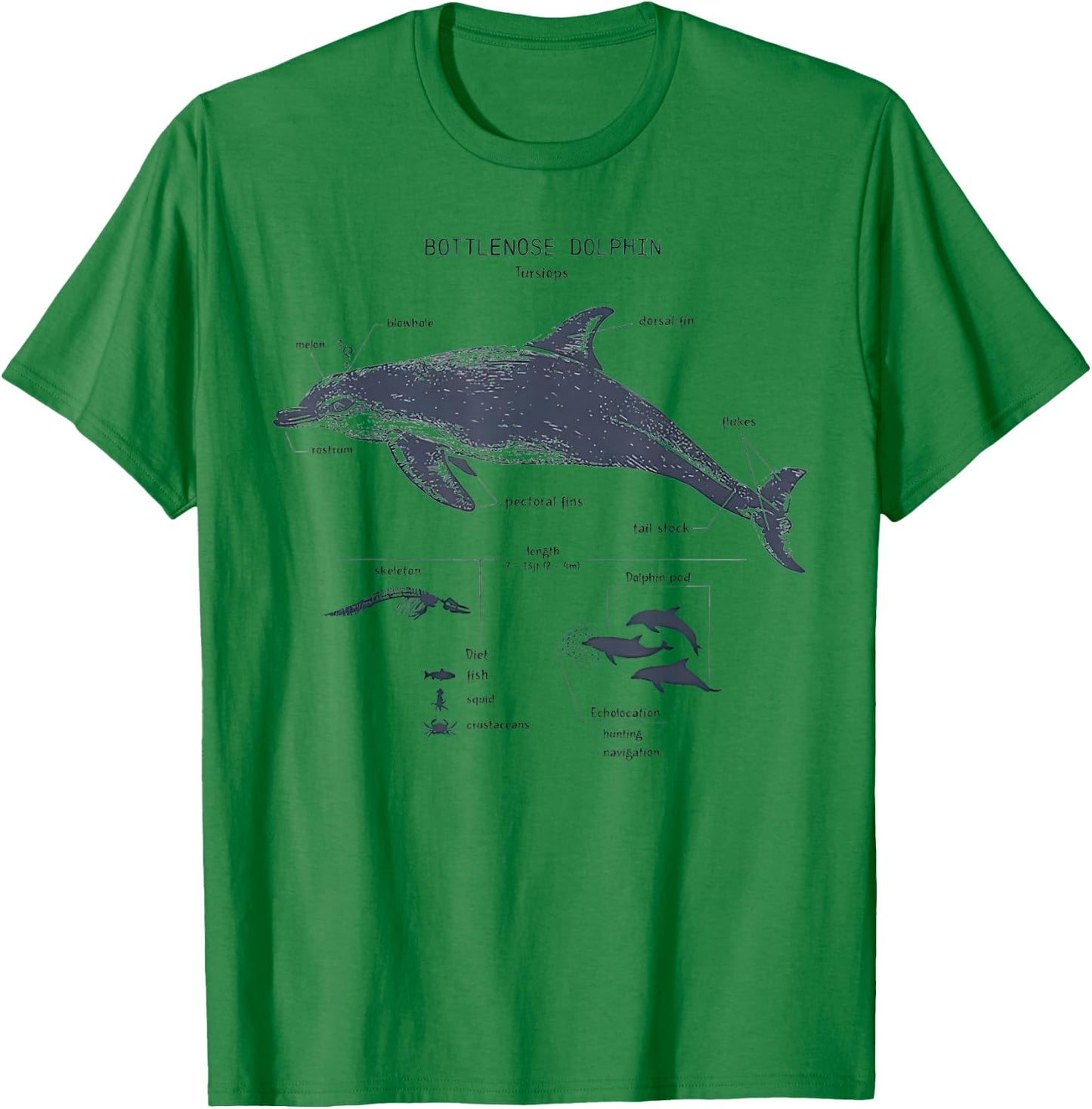 Bottlenose Dolphin Anatomy Marine Biology T-Shirt - T-Shirt | Irish Green