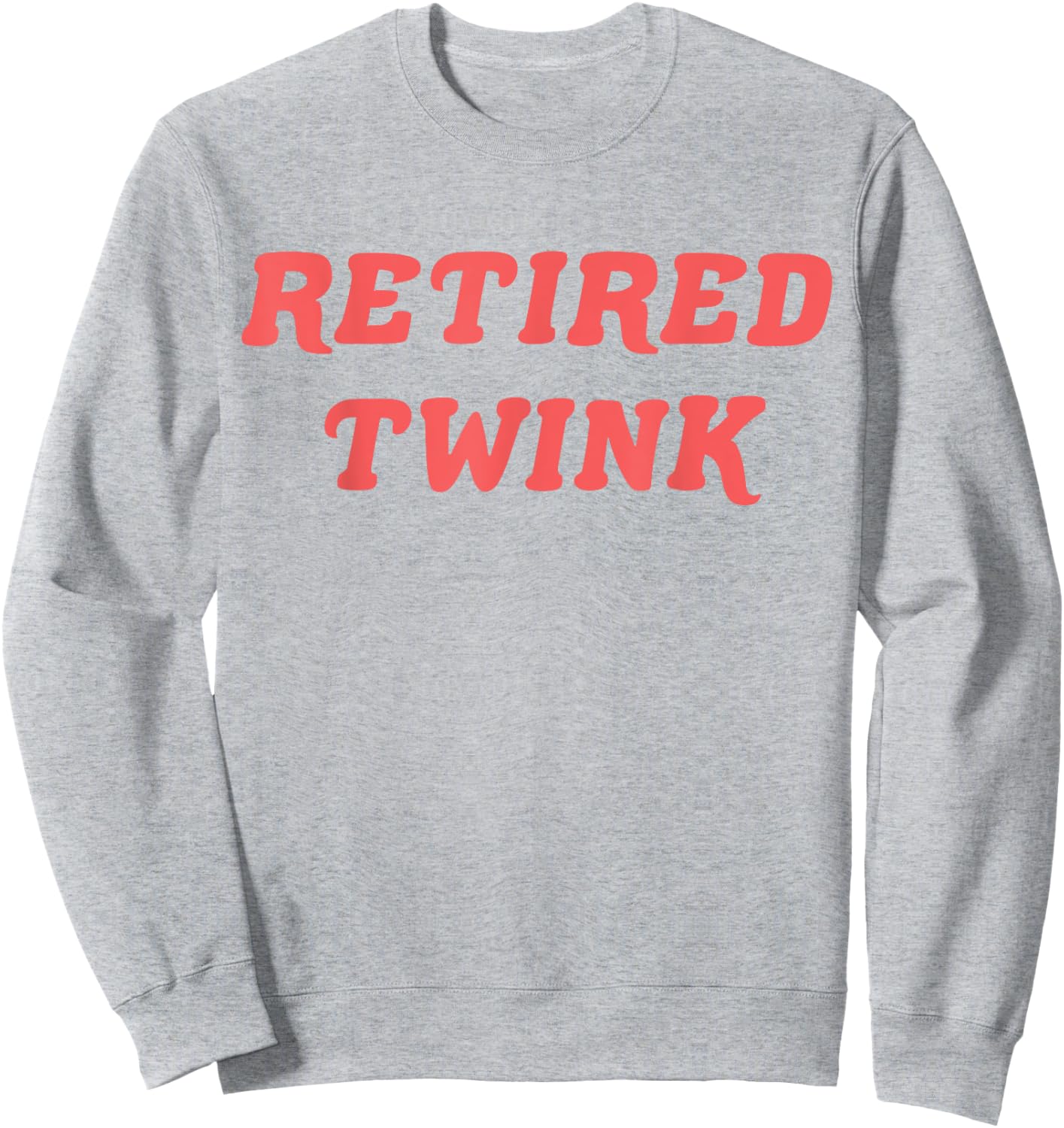 Retired Twink Sweatshirt - Sweatshirt | Ash