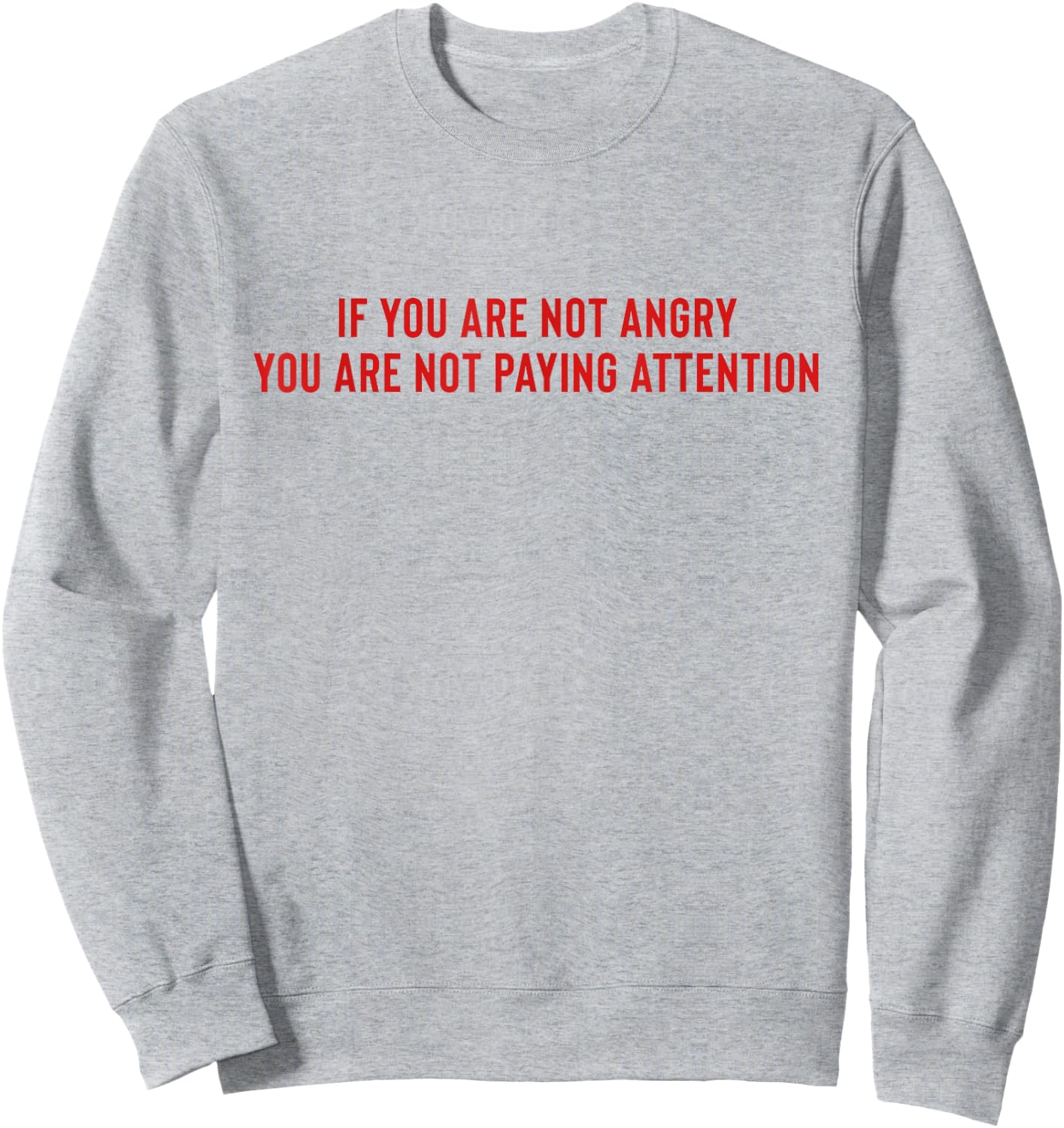If You Are Not Angry You Are Not Paying Attention Sweatshirt - Sweatshirt | Ash