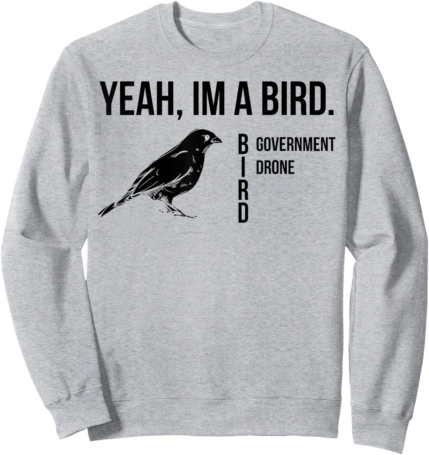 Yeah I'm A Bird Government Drone Sweatshirt - Sweatshirt | Ash