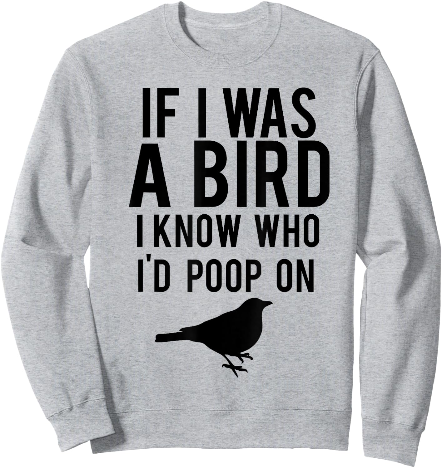 If I Was A Bird I Know Who I'd Poop On Funny Sweatshirt - Sweatshirt | Ash