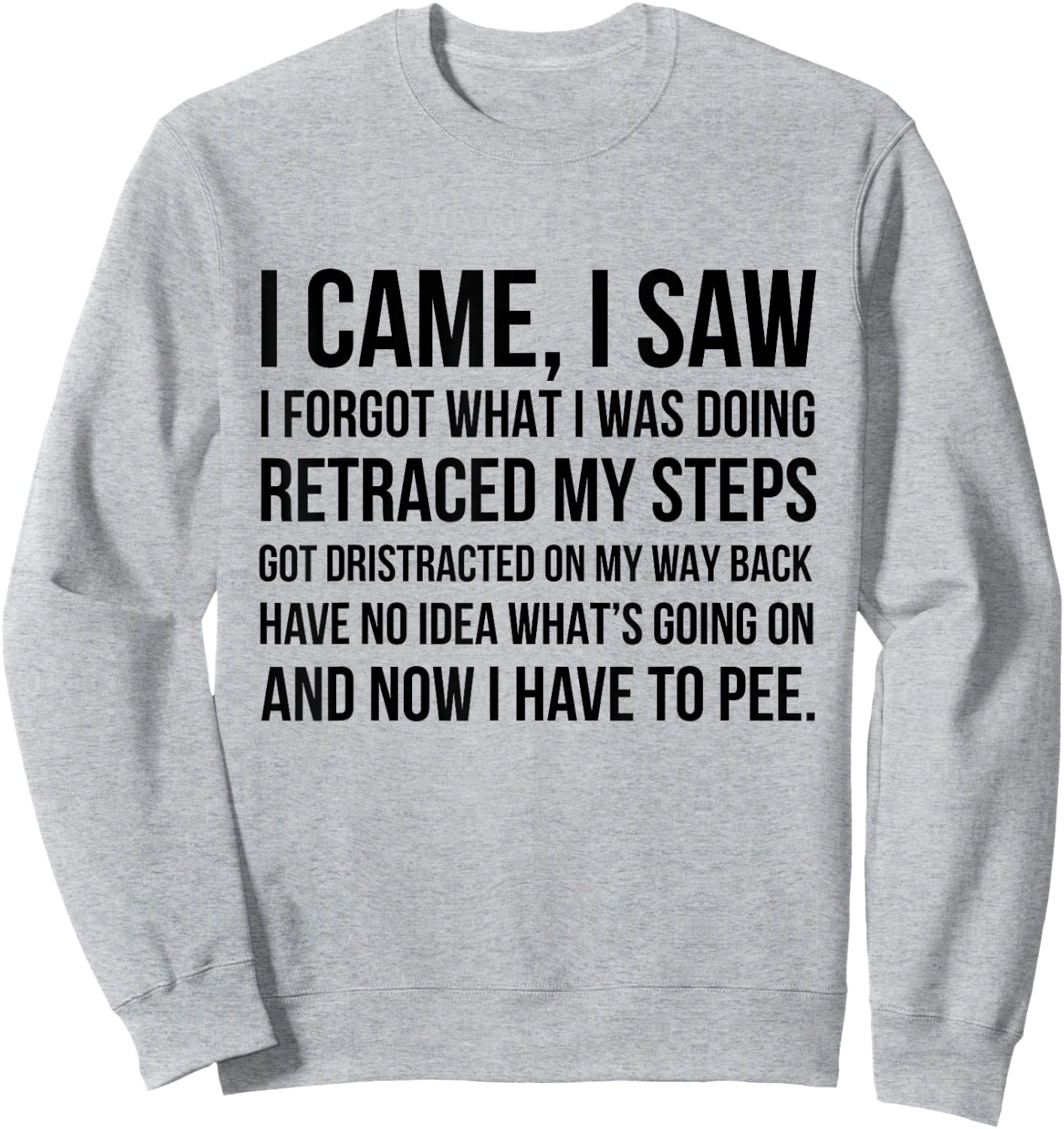 I Came I Saw I Forgot What I Was Doing Retraced My Steps Got Sweatshirt - Sweatshirt | Ash