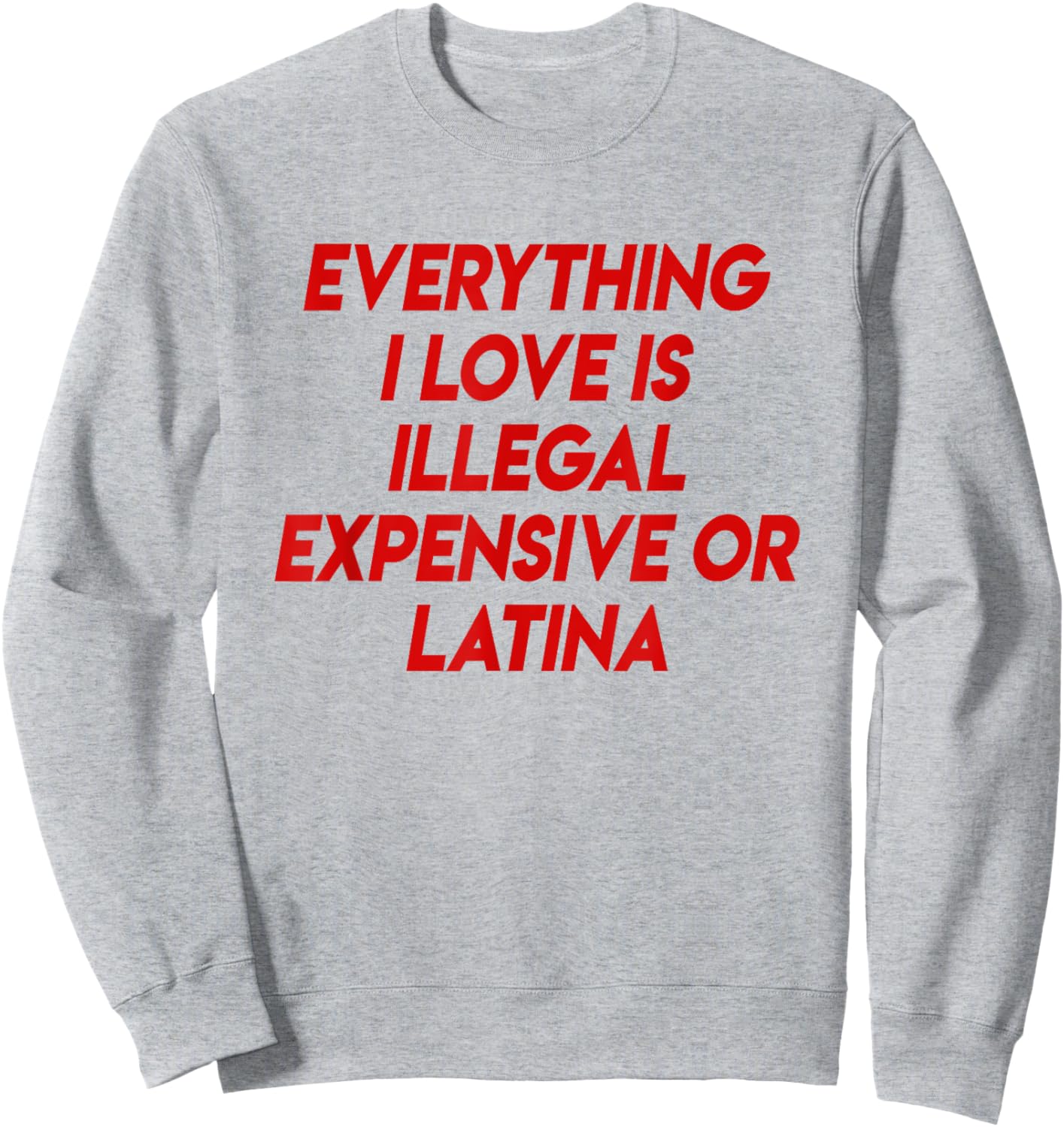 Funny Sweatshirt - Sweatshirt | Ash