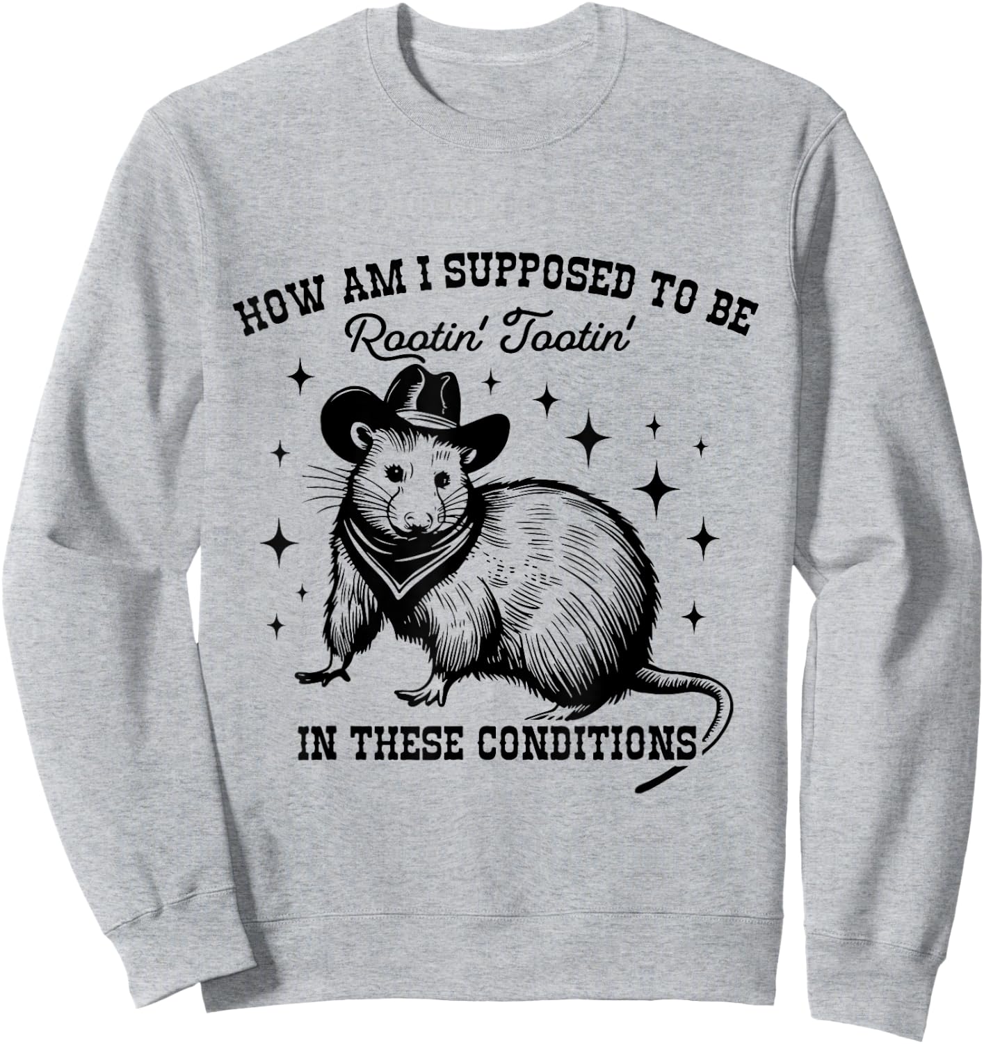 How Am I Supposed to be Rootin' Tootin' In These Conditions Sweatshirt - Sweatshirt | Ash