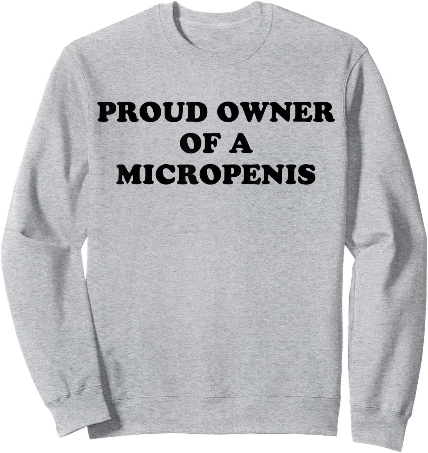 Proud Owner Of A Micropenis Sweatshirt - Sweatshirt | Ash