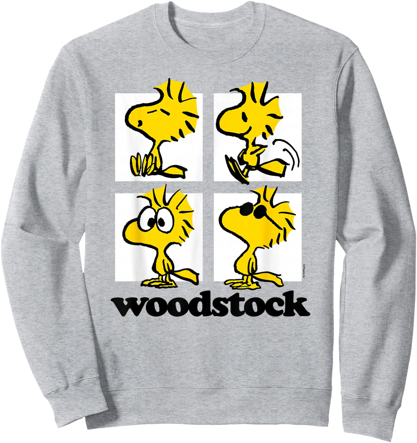 Peanuts - Woodstock Grid Sweatshirt - Sweatshirt | Ash