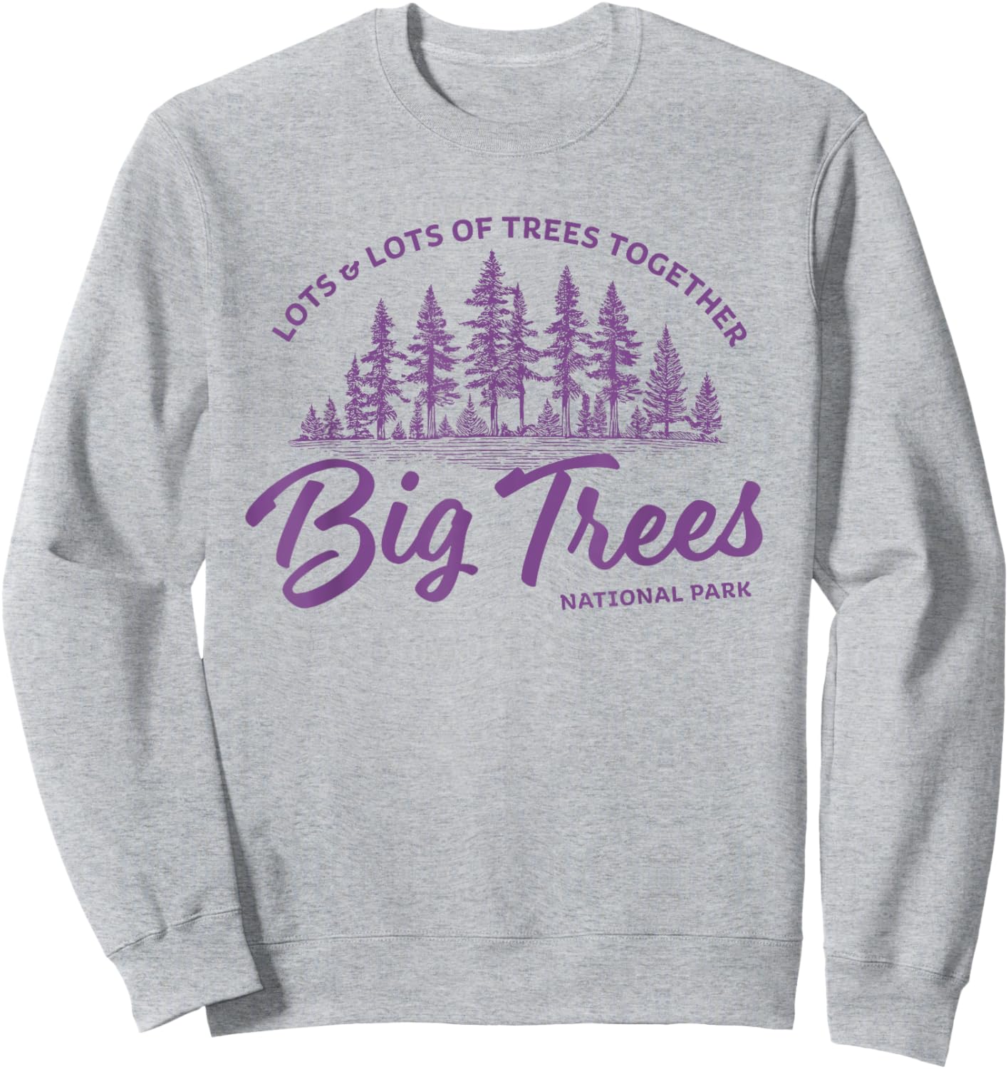 Big Trees Park - Hanson Band Fan Concert Tour Wear Sweatshirt - Sweatshirt | Ash