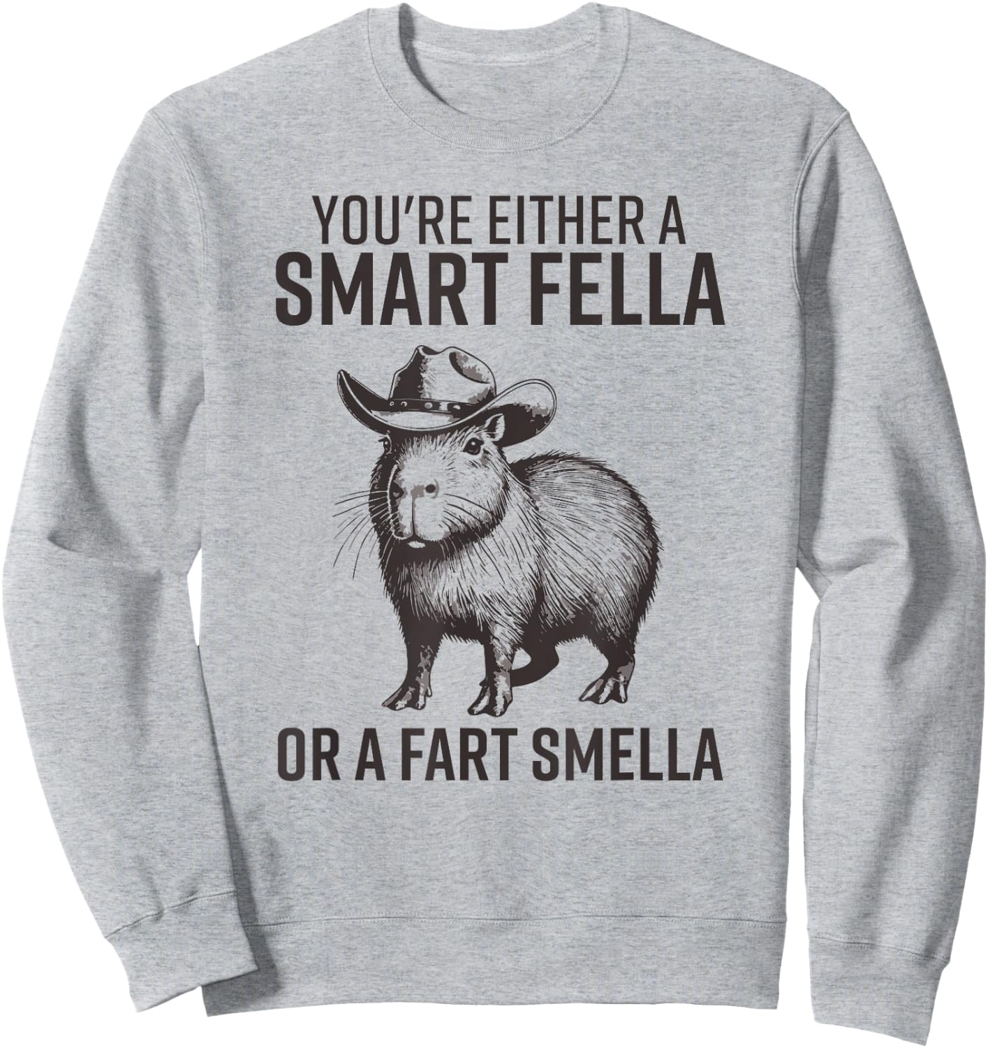You're Either A Smart Fella Or A Fart Smella Funny Capybara Sweatshirt - Sweatshirt | Ash