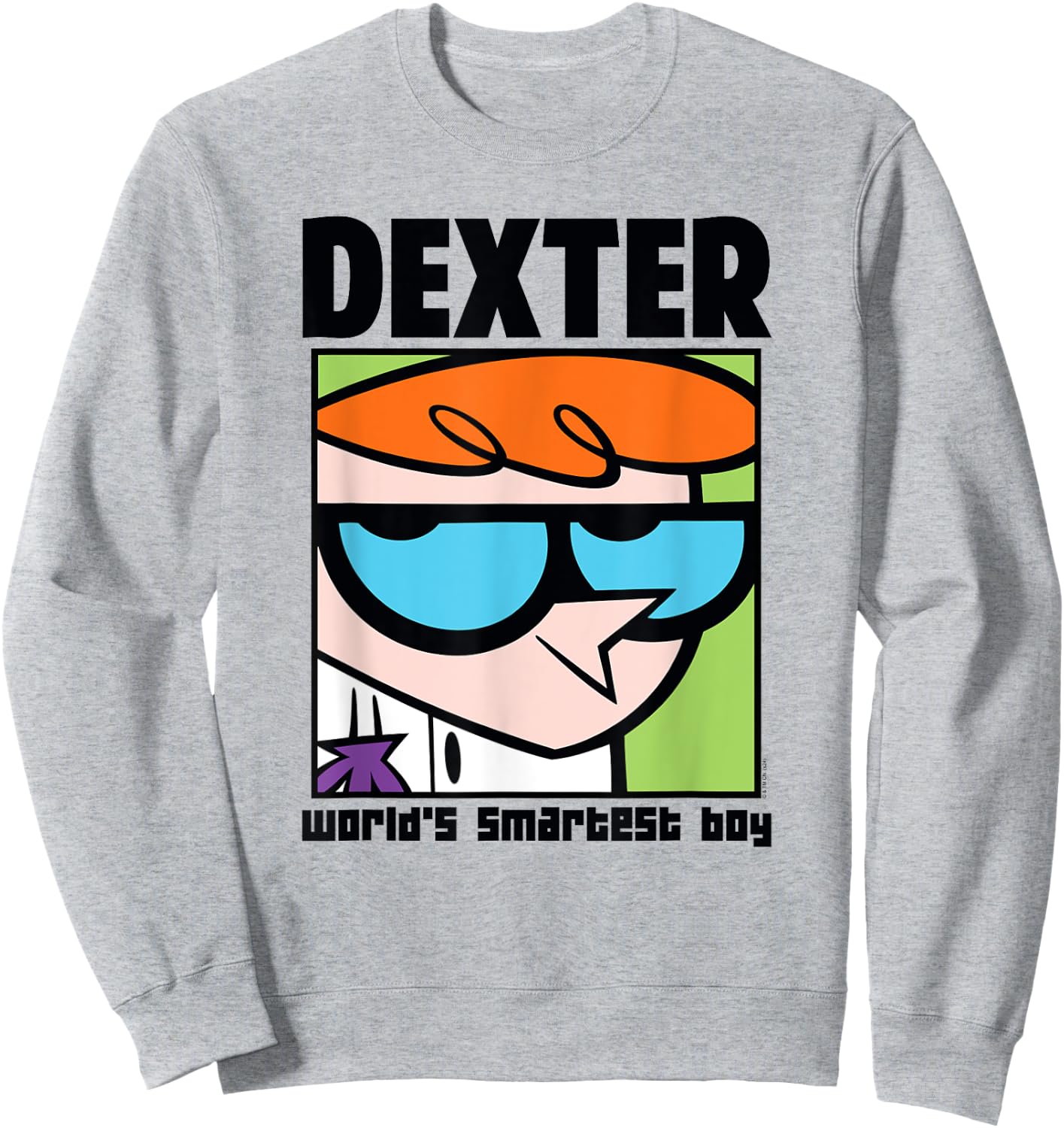 Dexter's Laboratory World's Smartest Boy Cartoon Sweatshirt - Sweatshirt | Ash