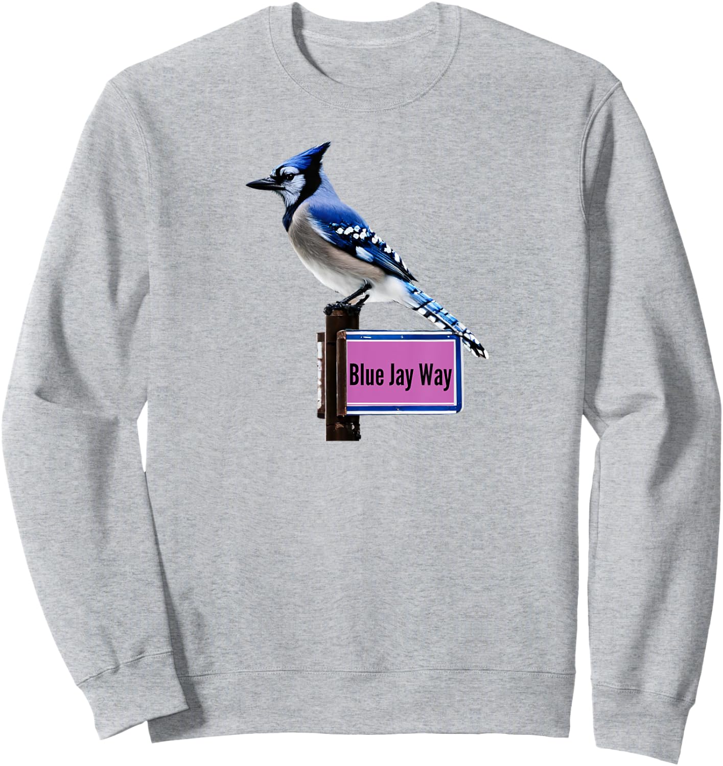 Blue Jay Way Sweatshirt - Sweatshirt | Ash