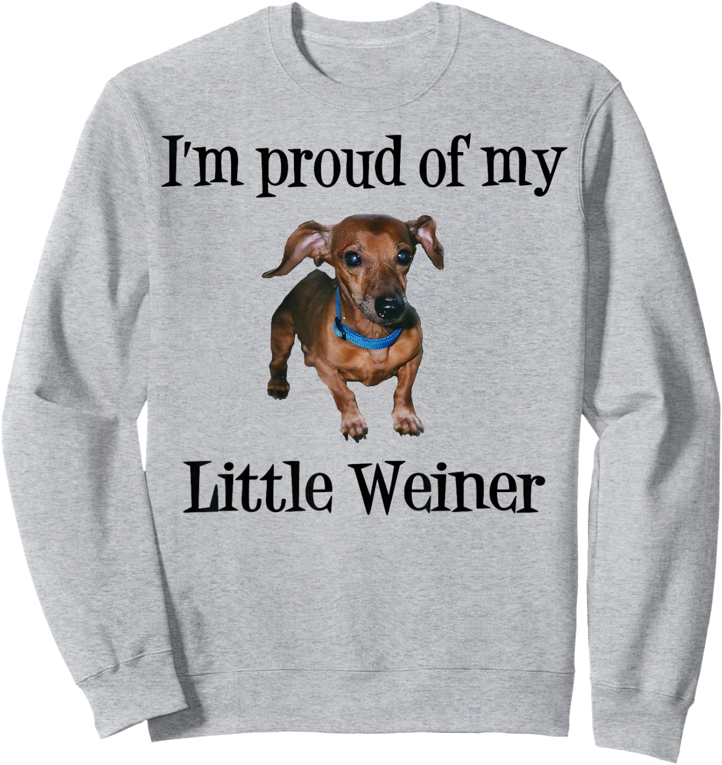 I'm Proud of My Little Weiner Funny Dog Lover Animal Lover Sweatshirt - Sweatshirt | Ash