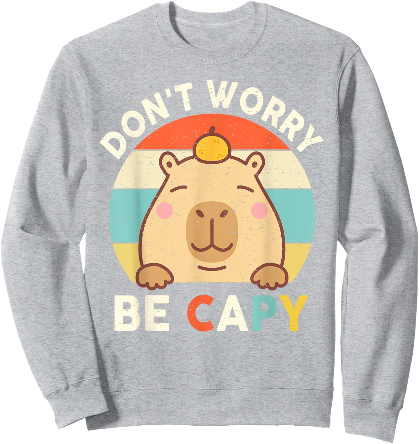 Capybara Shirt Kids Toddler Boys Girls Don’t Worry Be Capy Sweatshirt - Sweatshirt | Ash