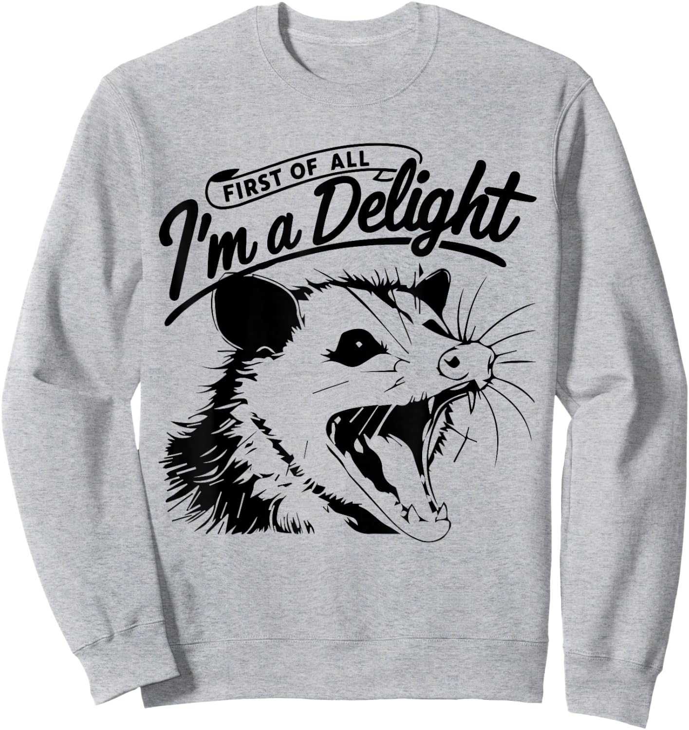 First of All, I'm a Delight Funny Opossum Possum Sweatshirt - Sweatshirt | Ash