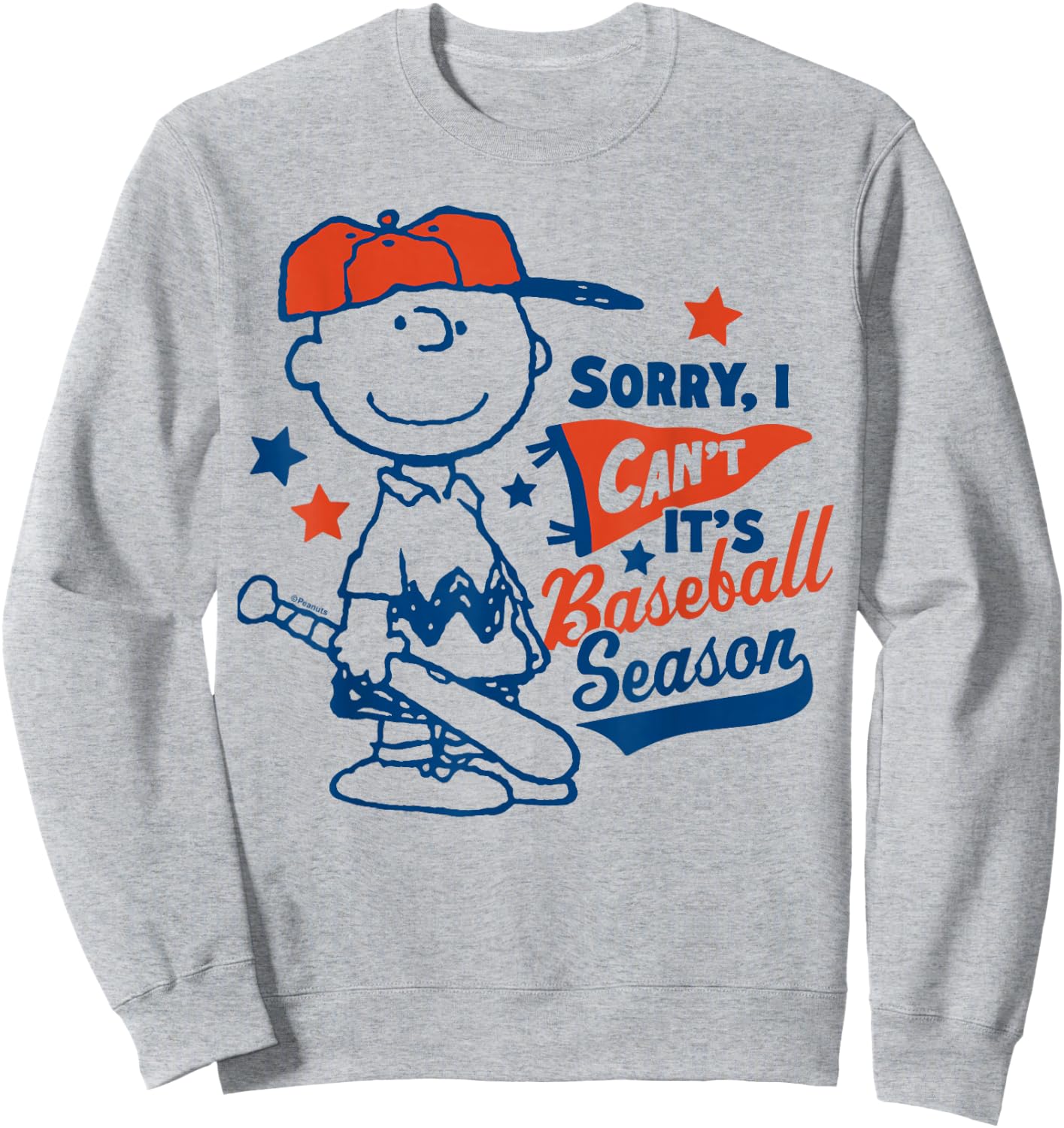 Peanuts - Charlie Brown Baseball Season Sweatshirt - Sweatshirt | Ash