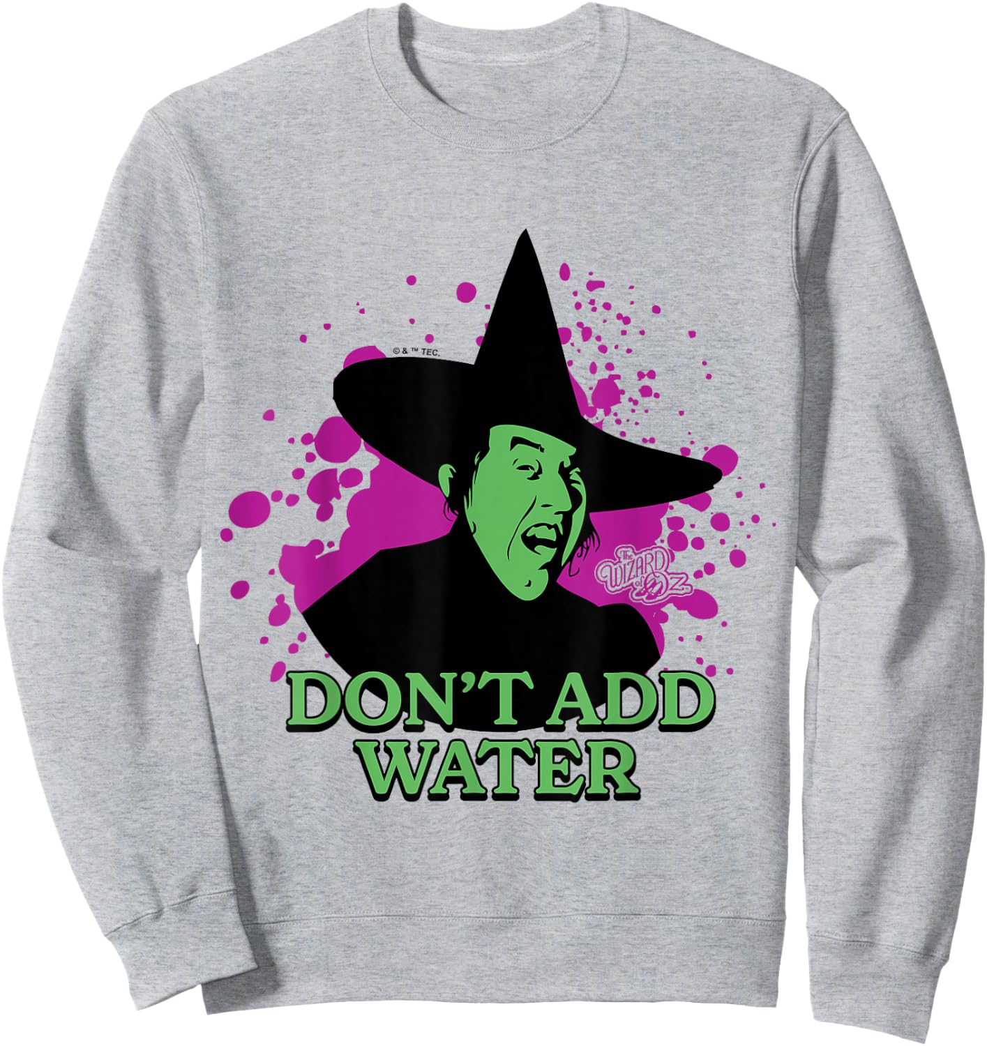 The Wizard Of Oz - Wicked Witch Of The West Don't Add Water Sweatshirt - Sweatshirt | Ash