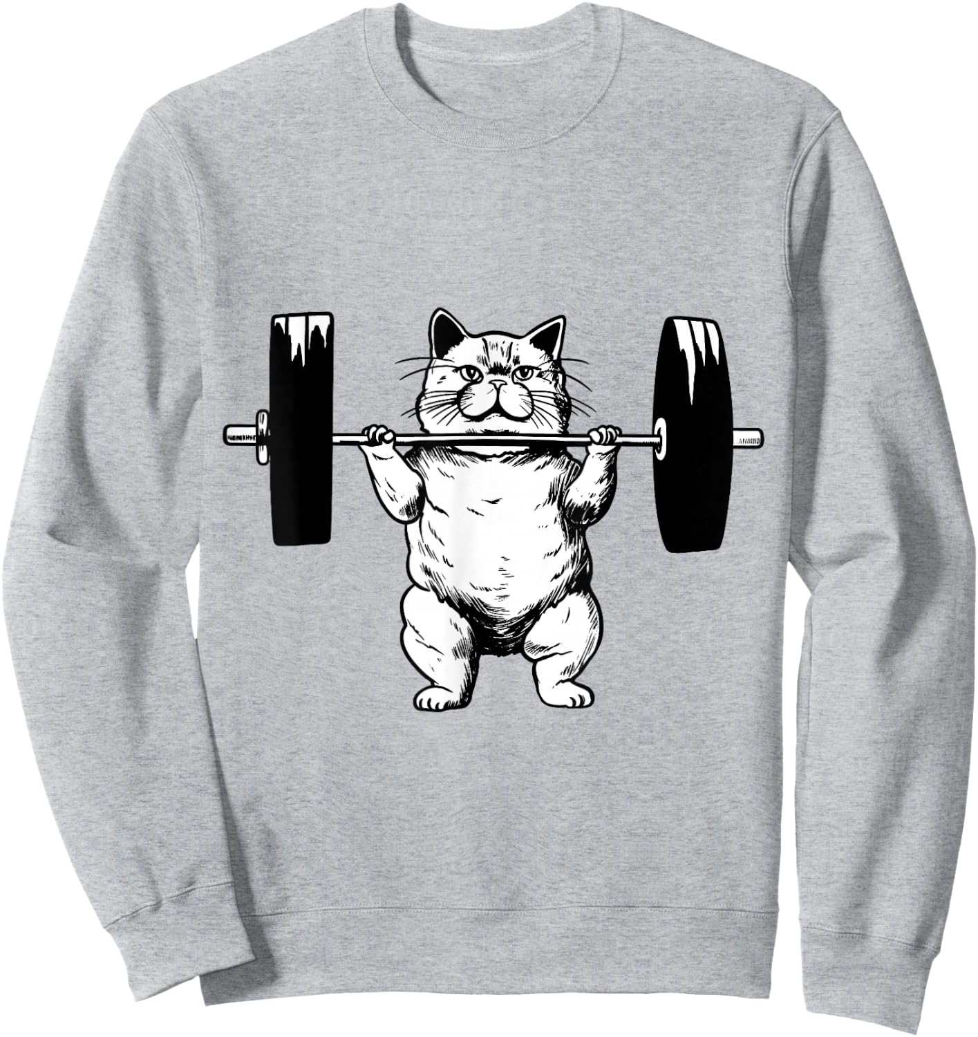 Cat Weightlifting Pet Kitty Workout Weights Cat Owner Sweatshirt - Sweatshirt | Ash
