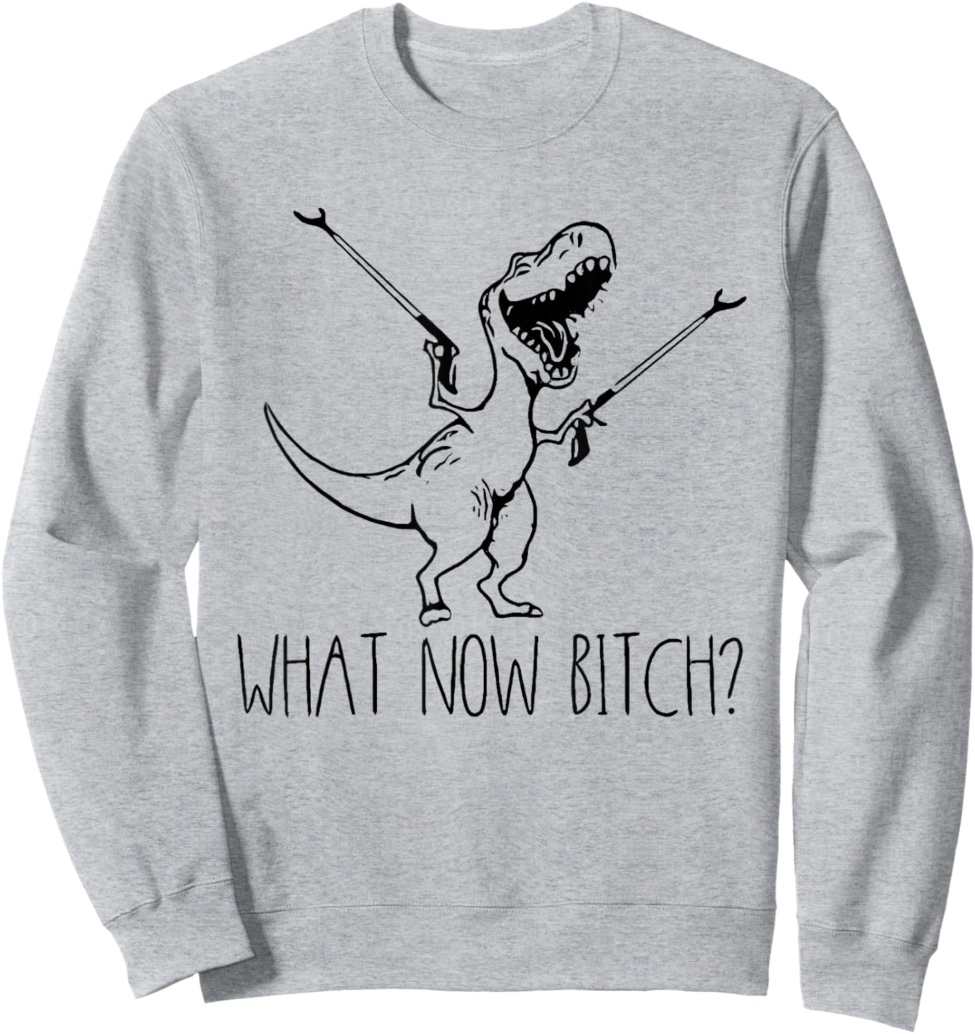 What Now Bich Funny T Rex Dinosaur Saying Quote Men Women Sweatshirt - Sweatshirt | Ash