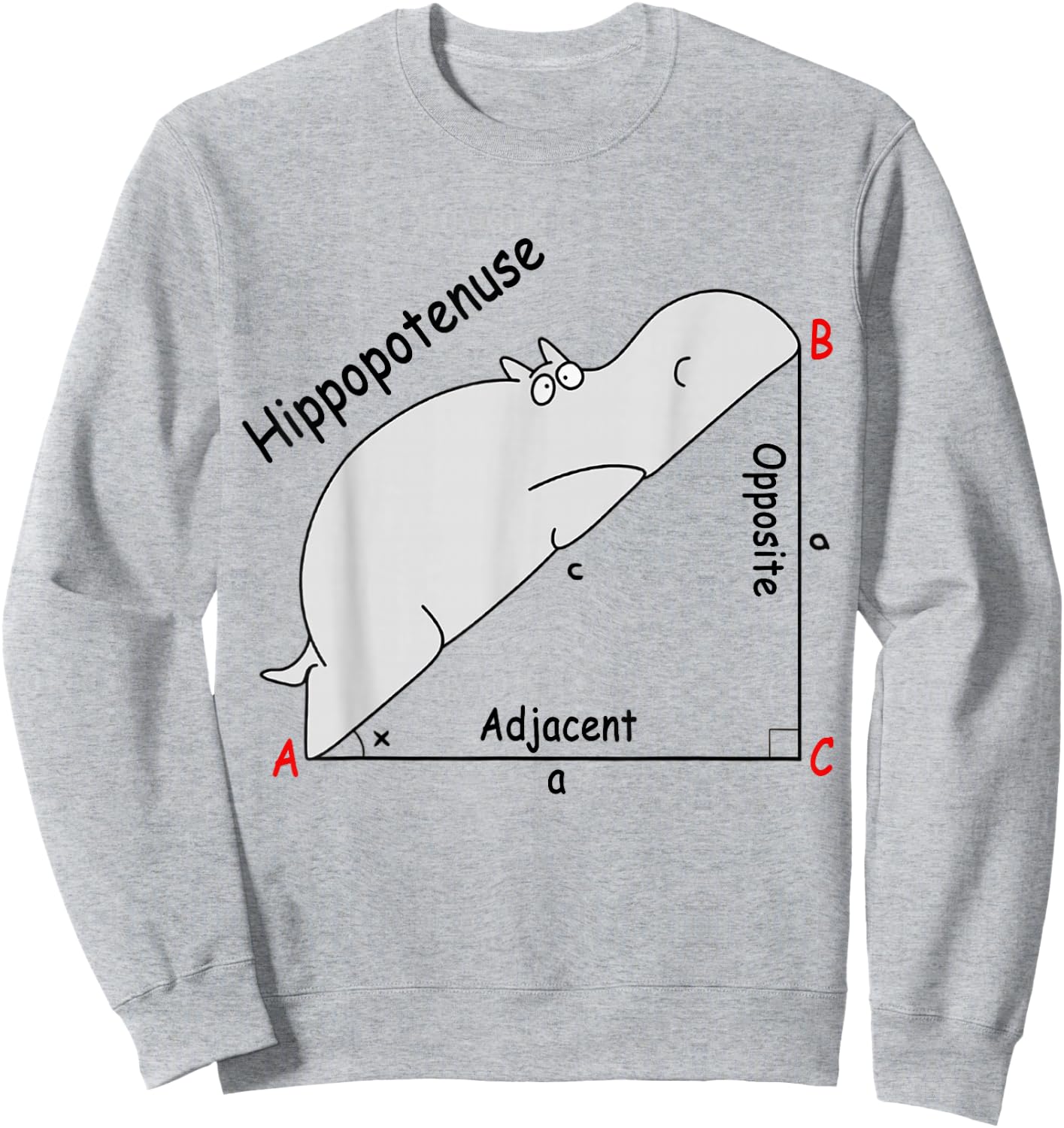 Hippopotenuse Hippopotamus Funny Math Geometry Sweatshirt - Sweatshirt | Ash