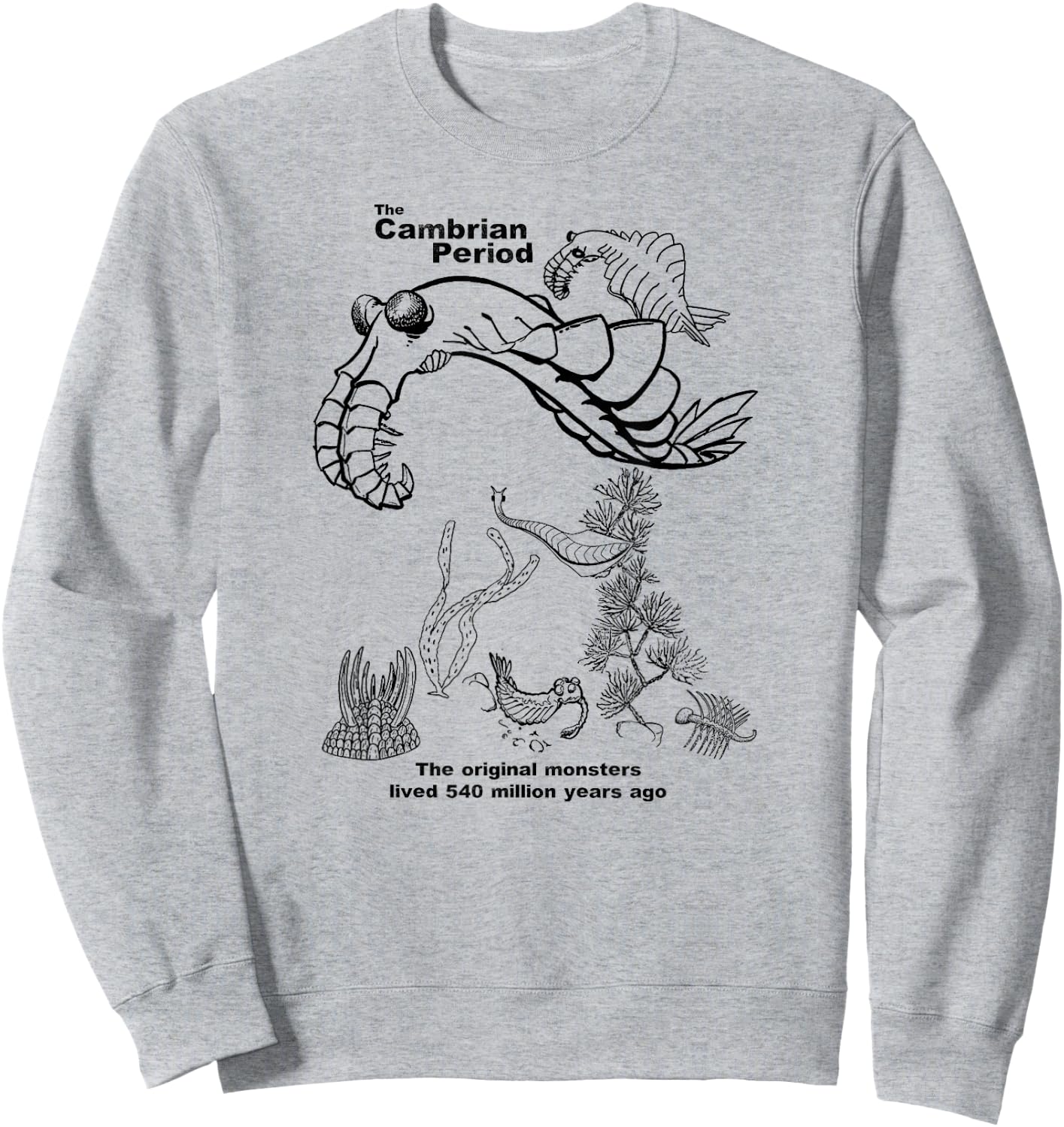 Cambrian Period Sweatshirt - Sweatshirt | Ash