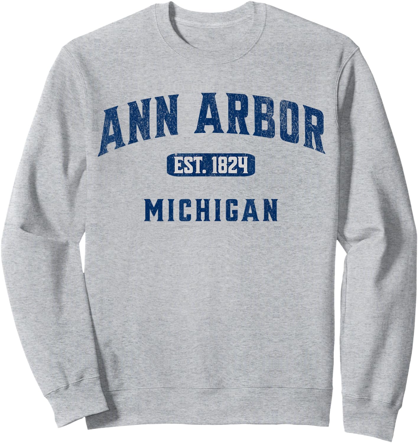 USA City Visit Ann Arbor Michigan Vintage Athletic Souvenir Sweatshirt - Sweatshirt | Ash