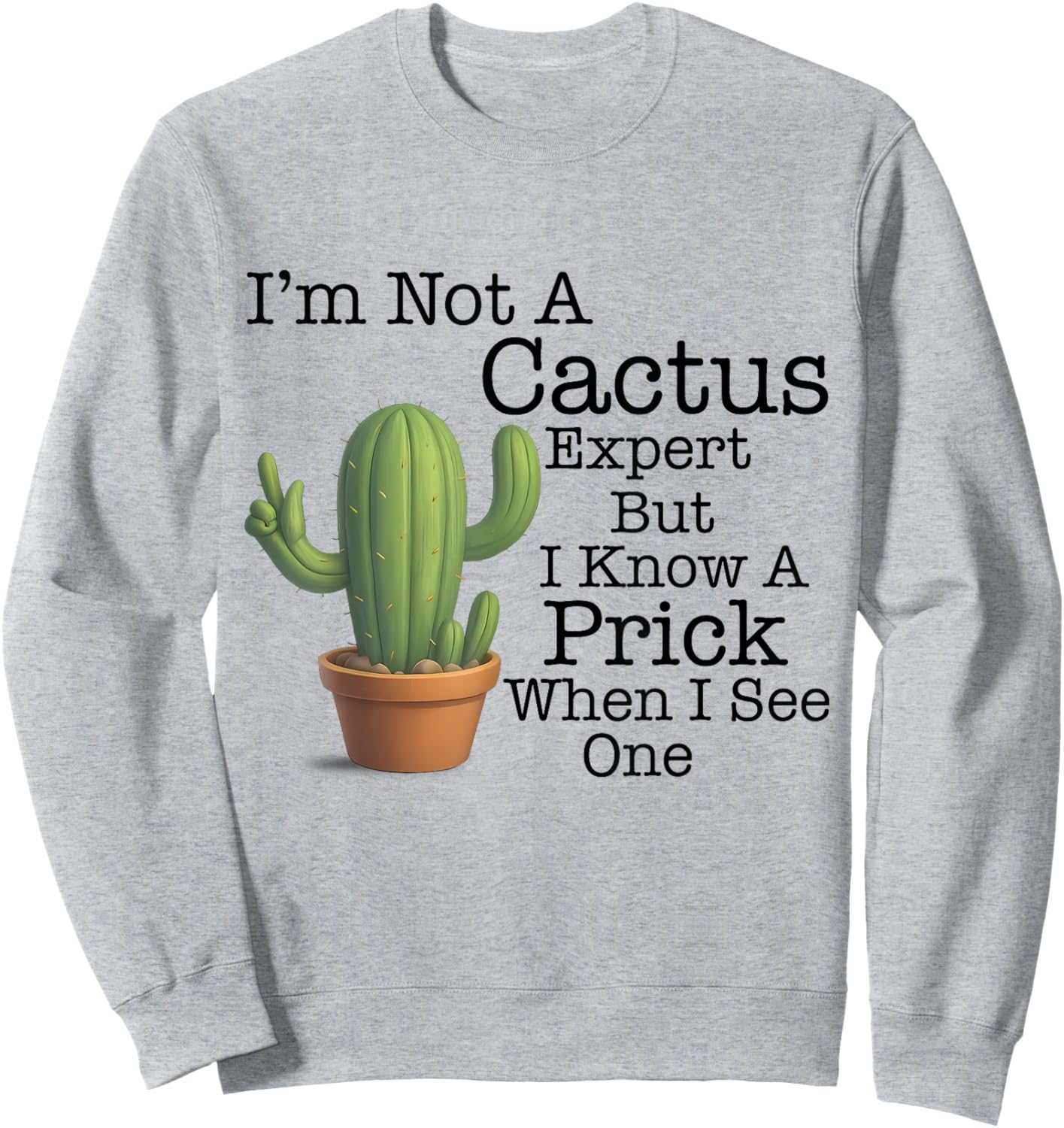 I'm Not A Cactus Expert But I Know A Prick When I See Cactus Sweatshirt - Sweatshirt | Ash