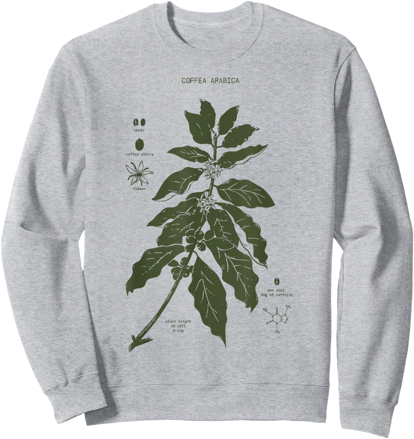 Vintage Coffee Plant Diagram Coffee Arabica Botanical Sweatshirt - Sweatshirt | Ash