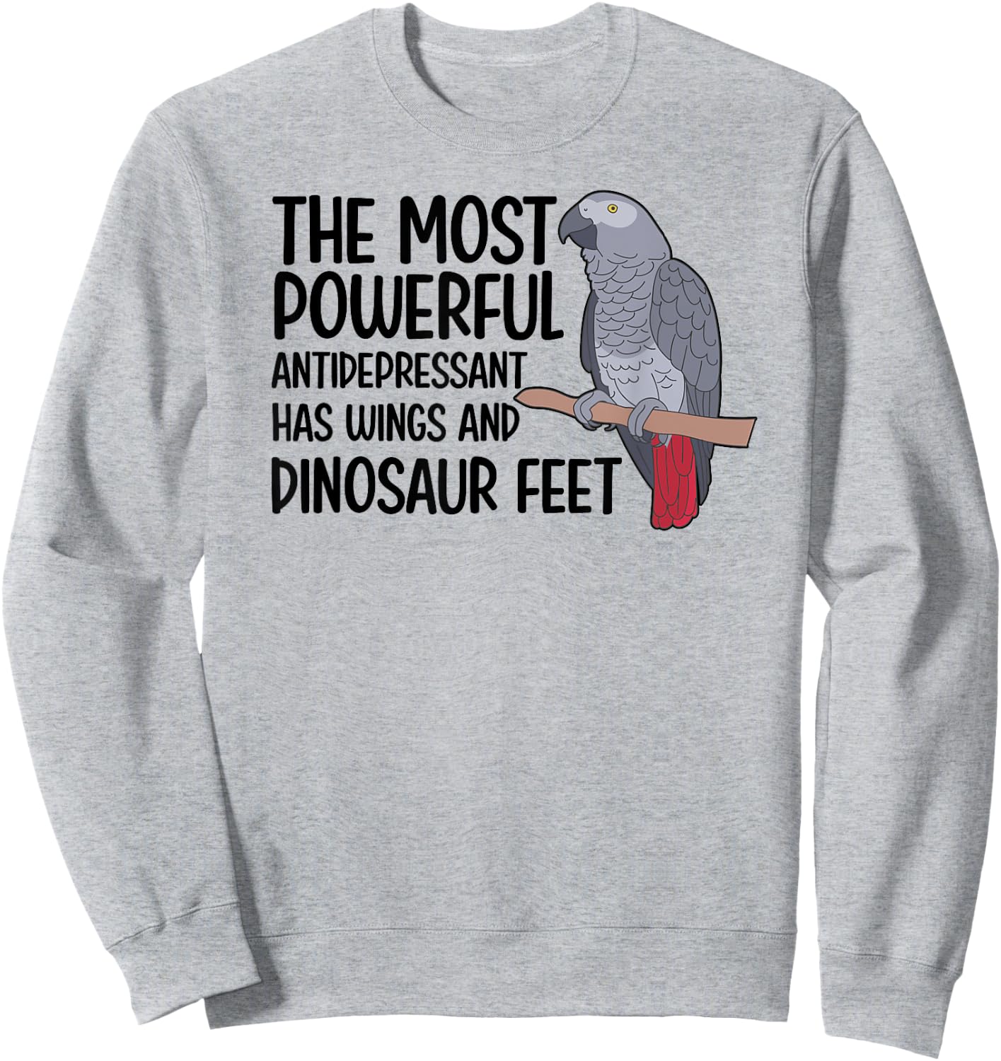 Dinousar Feet African Grey Owner African Grey Parrot Lover Sweatshirt - Sweatshirt | Ash