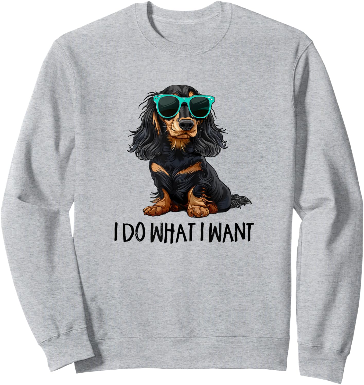 Funny Do What I Want Black Long Haired Dachshund Lover Sweatshirt - Sweatshirt | Ash