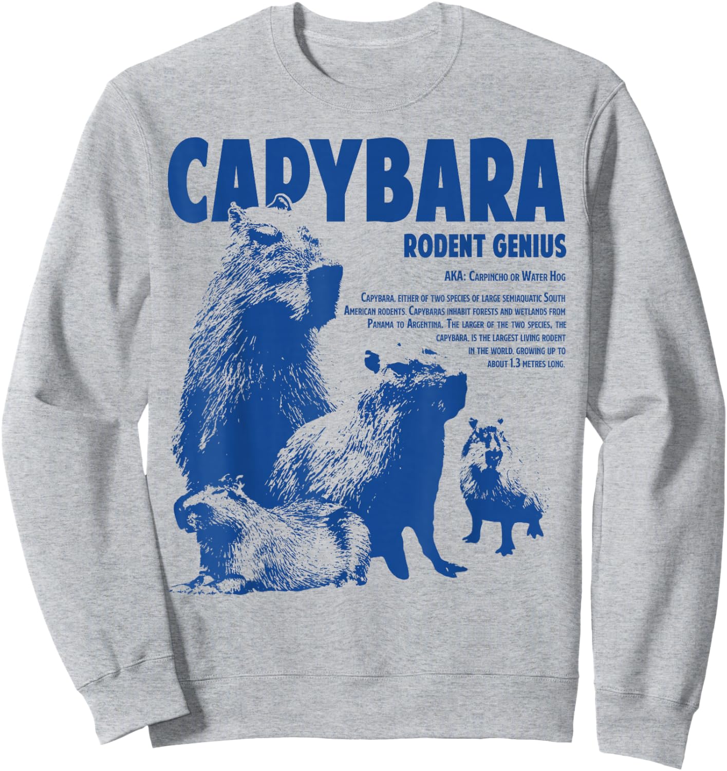 Capybara Rodent Genius Funny Information For Capybara Lover Sweatshirt - Sweatshirt | Ash