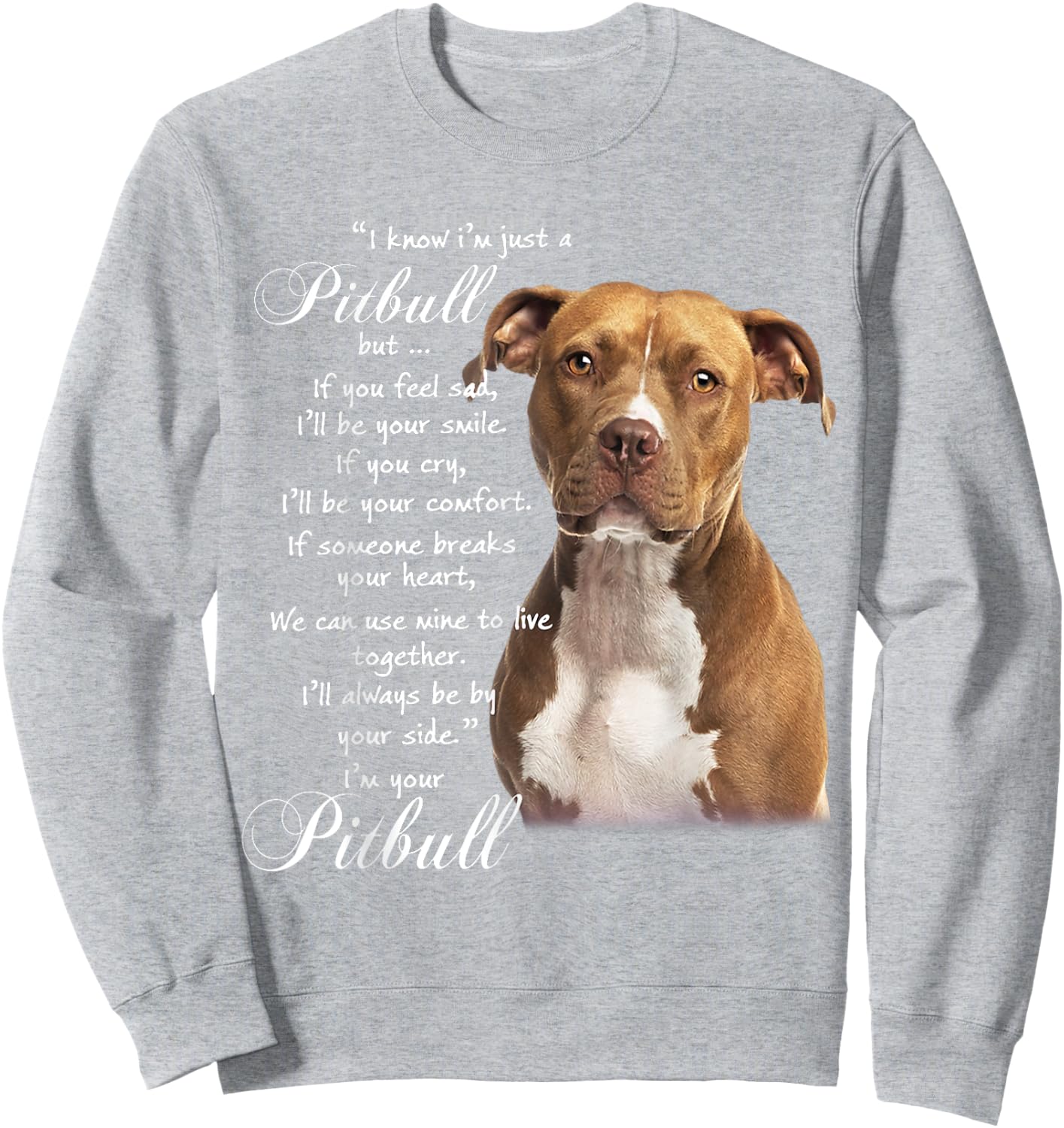 I Know I'm Just A Pitbull But If You Feed Sad Sweatshirt - Sweatshirt | Ash