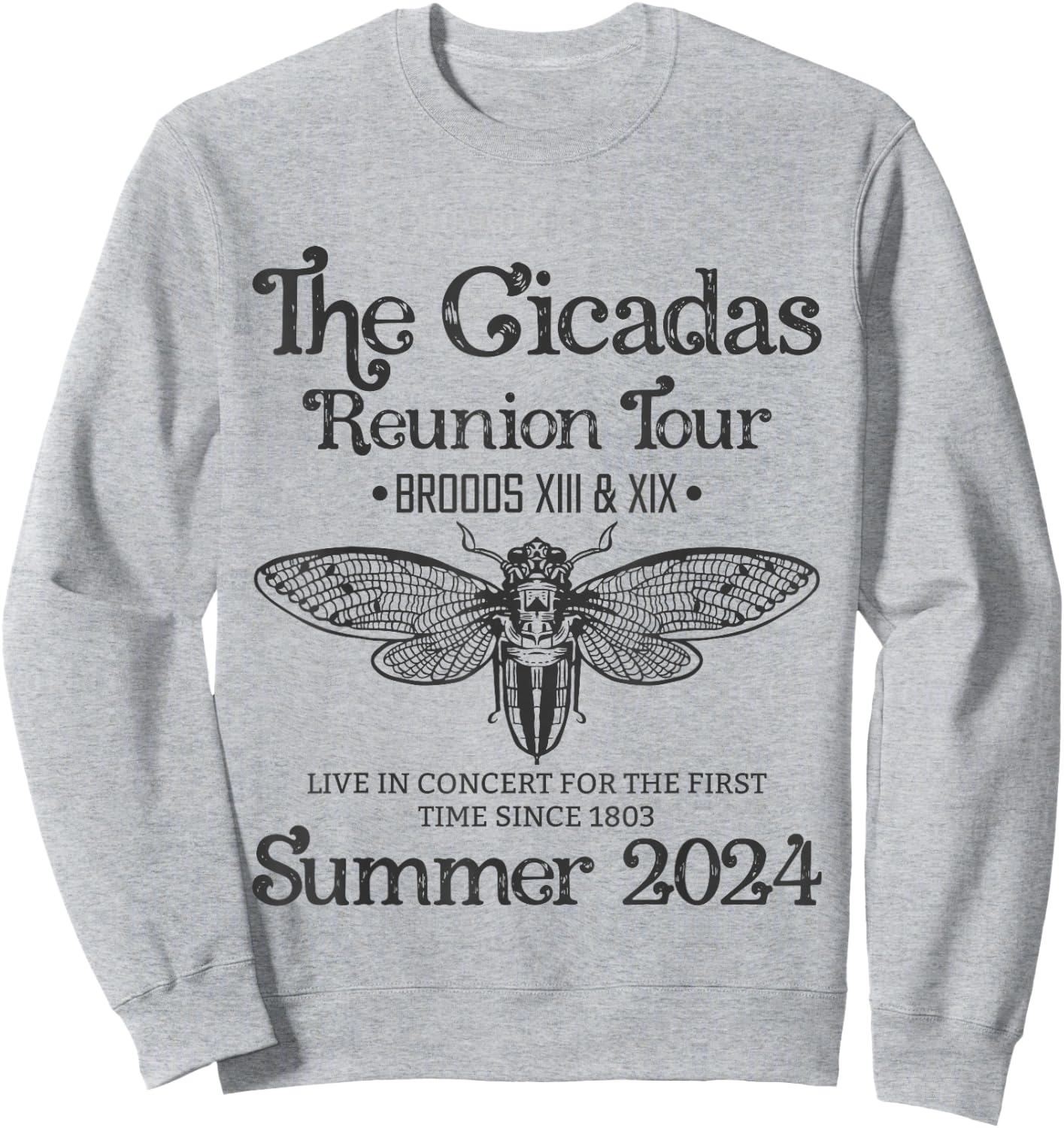 The Cicada Reunion U.S Tour 2024 Cicada Concert Fest Lover Sweatshirt - Sweatshirt | Ash