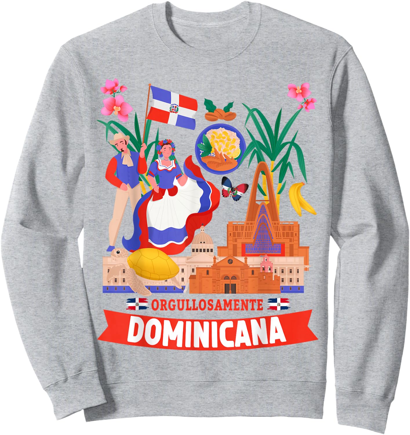 Dominican Republic Flag Idea Republica Dominicana Sweatshirt - Sweatshirt | Ash