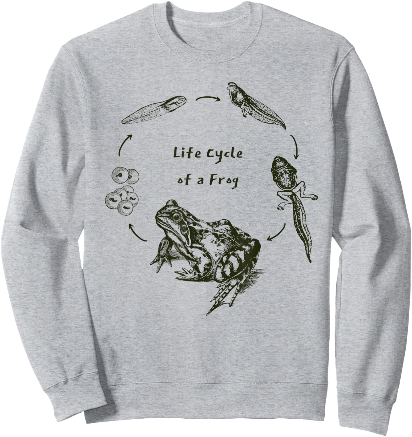 Frog Toad Life Cycle Biology Teacher Vintage Science Sweatshirt - Sweatshirt | Ash