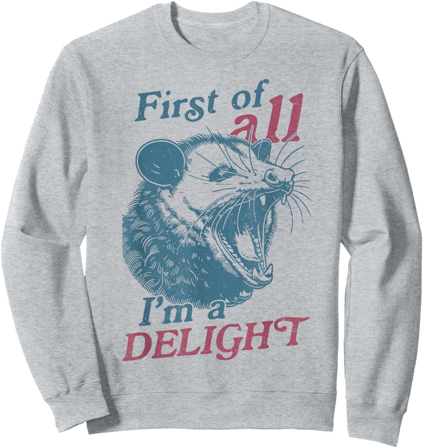 First Of All I'm A Delight Sarcastic Angry Opossum Lover Sweatshirt - Sweatshirt | Ash