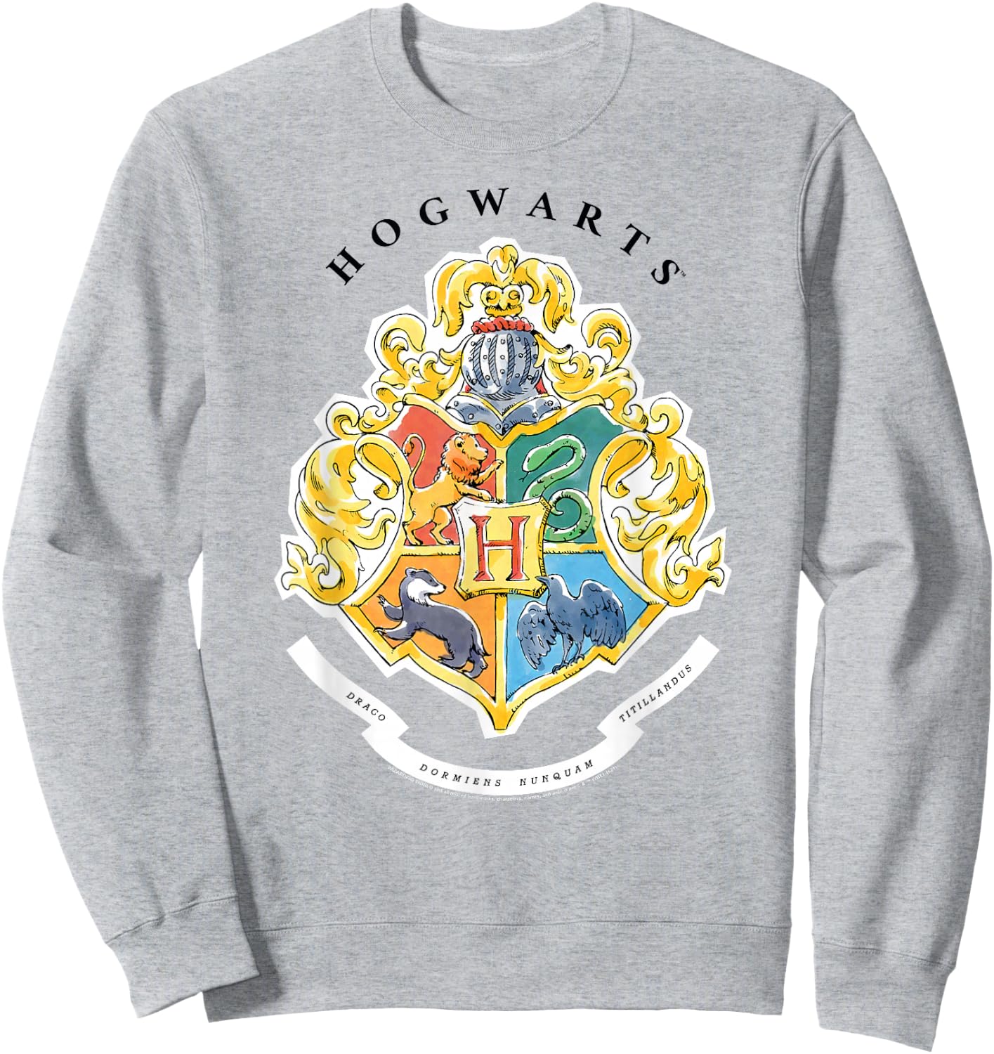 Harry Potter Hogwarts Crest in Watercolours Sweatshirt - Sweatshirt | Ash