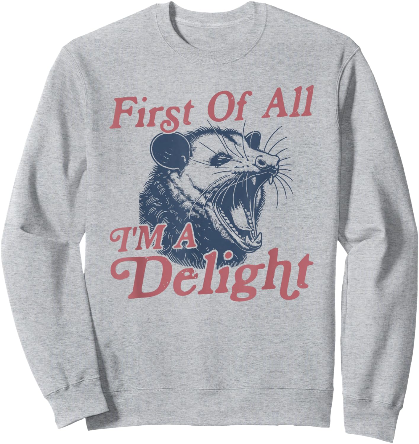 First of All I'm a Delight Possum Sweatshirt - Sweatshirt | Ash