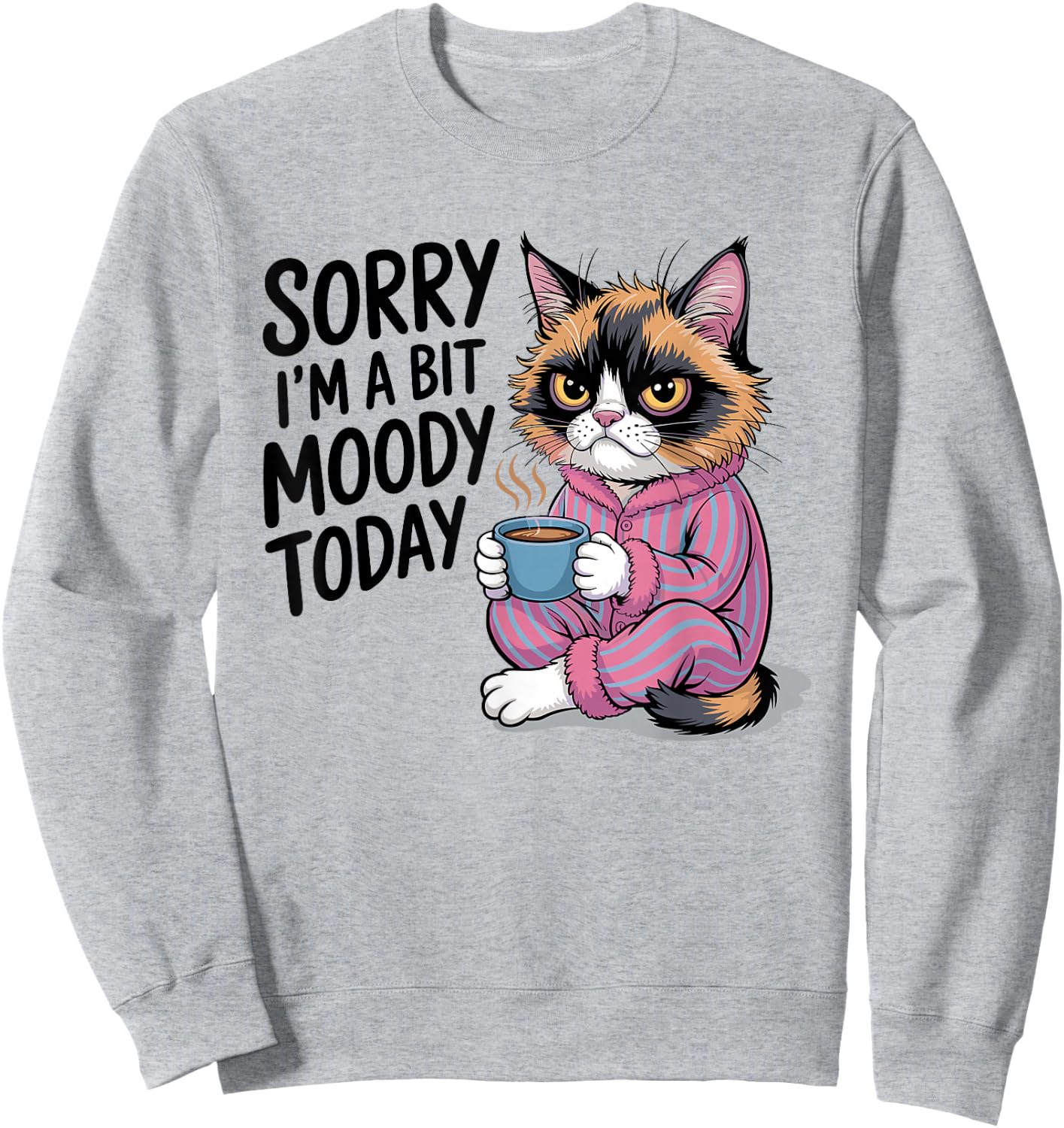 Sorry I'm A Bit Moody Today Tired Cat Sweatshirt - Sweatshirt | Ash