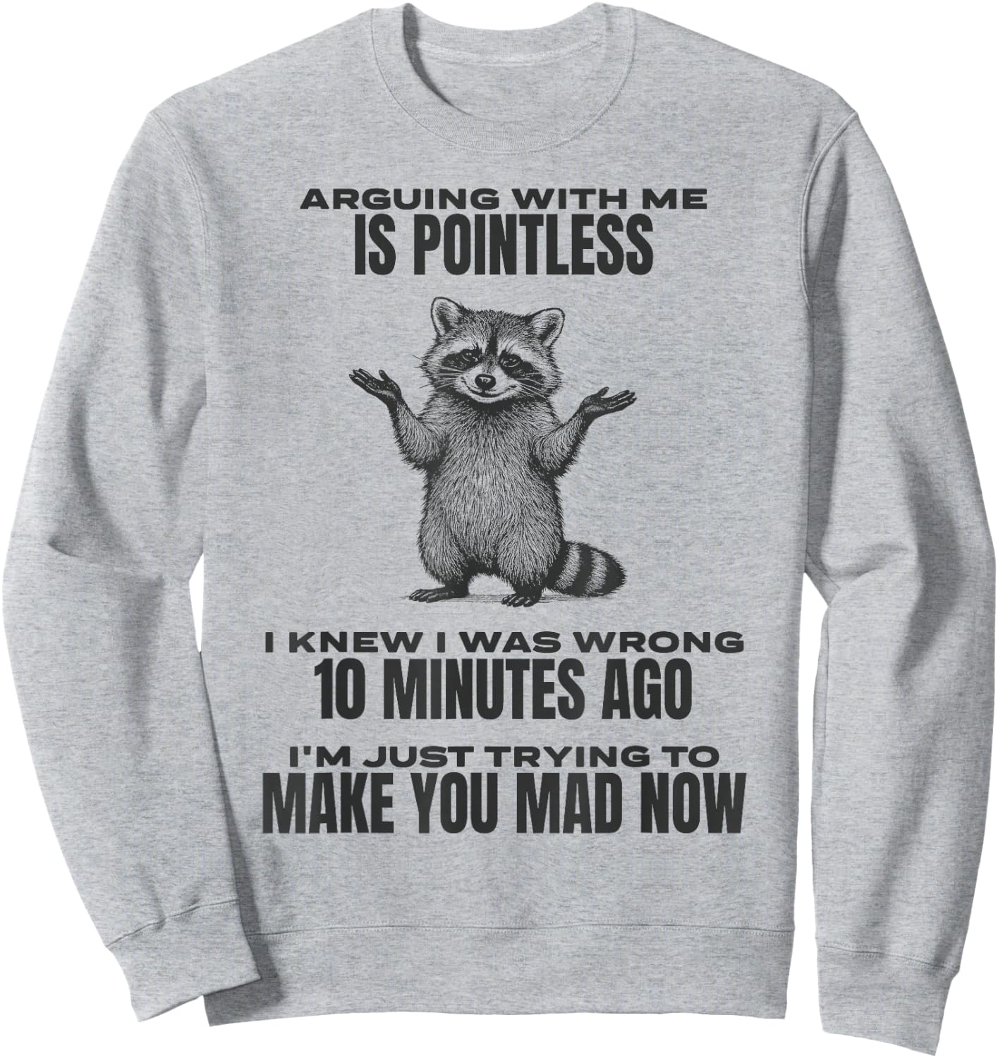 Arguing With Me Is Pointless Raccoon Funny Sarcastic Meme Sweatshirt - Sweatshirt | Ash