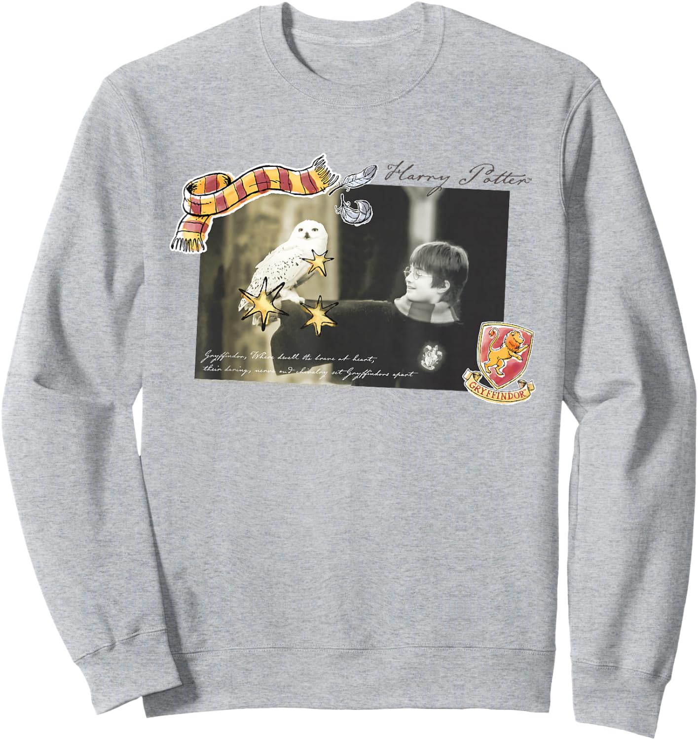 Harry Potter with Hedwig Movie Still Sweatshirt - Sweatshirt | Ash