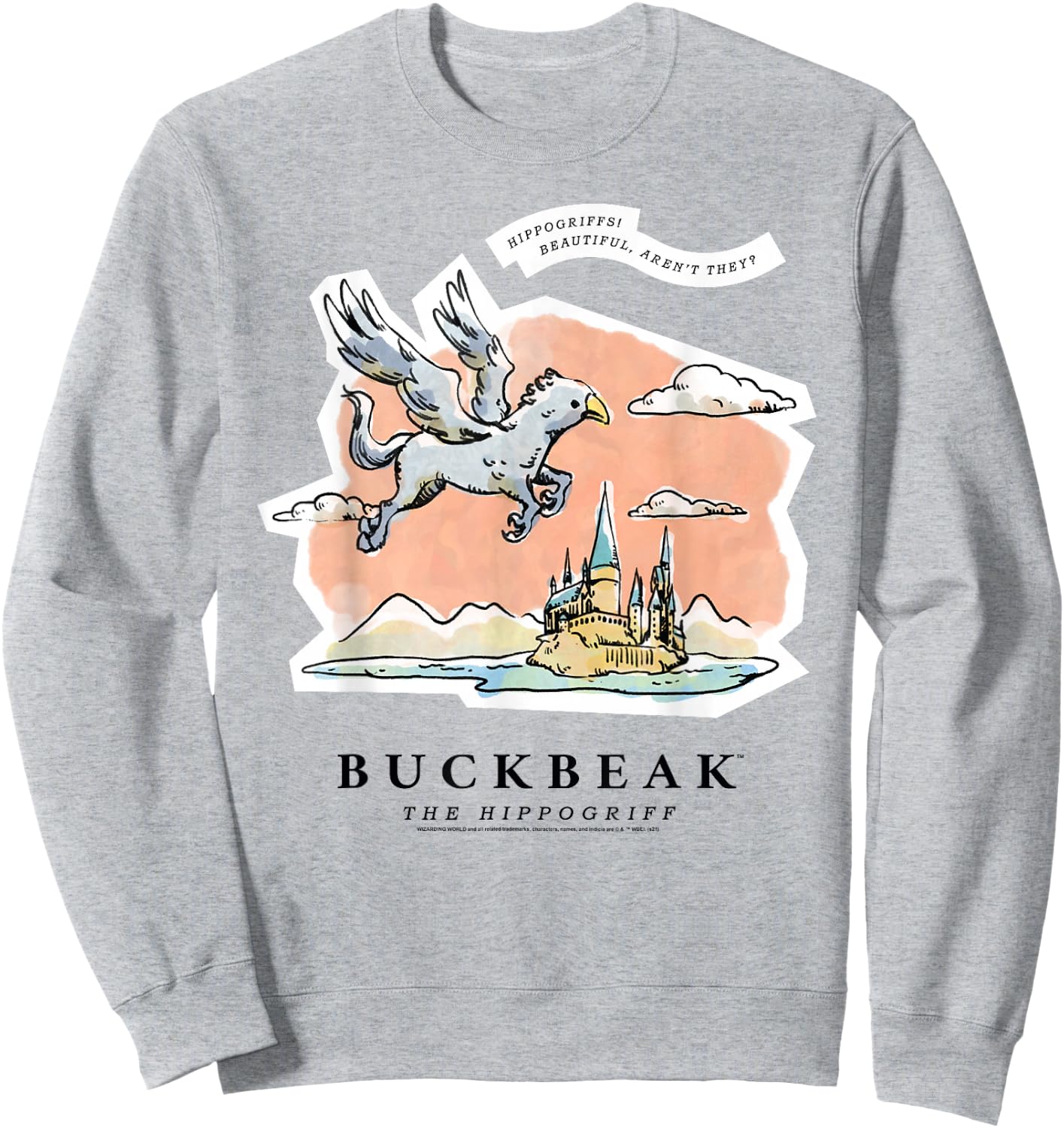 Harry Potter Buckbeak the Hippogriff Sweatshirt - Sweatshirt | Ash