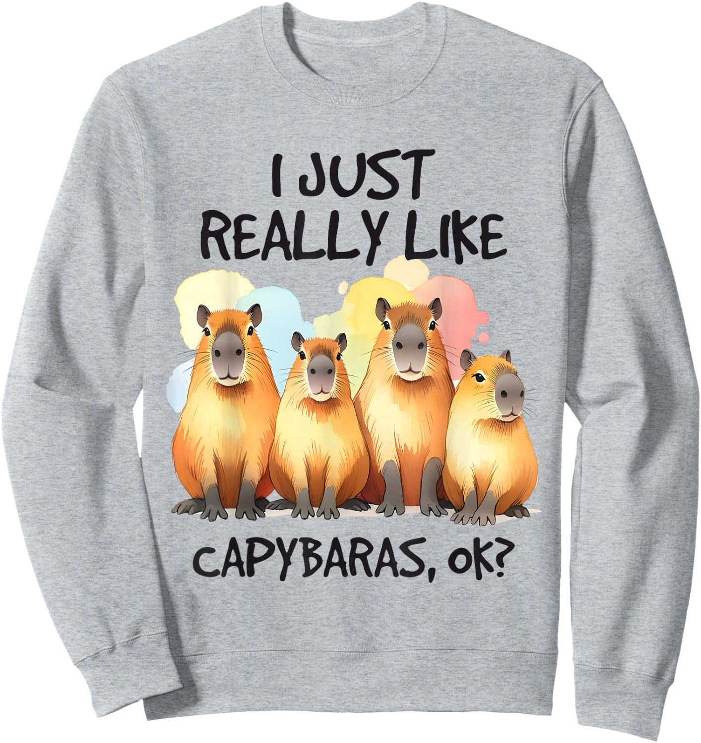 Funny Capybara Sweatshirt - Sweatshirt | Ash