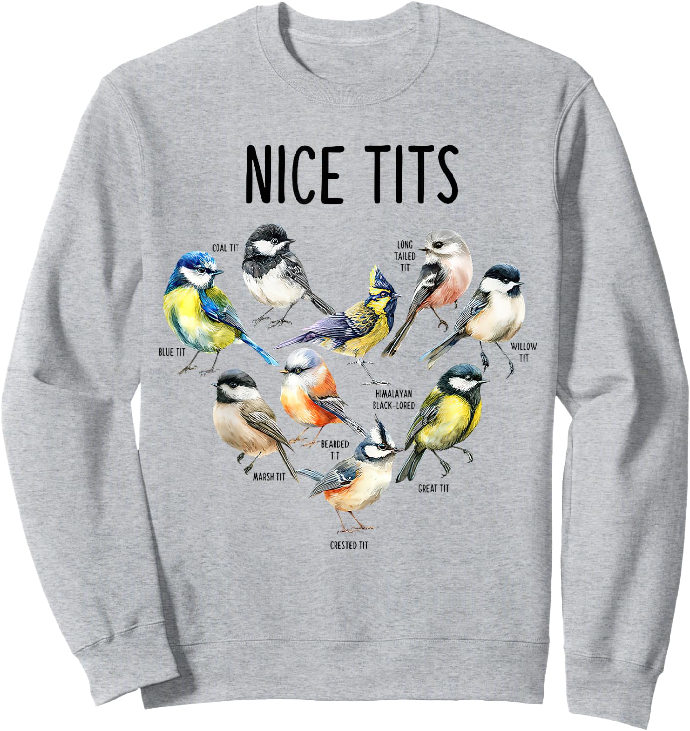 Retro Funny Nice Tits Birds Birdwatcher Bird Watching Humor Sweatshirt - Sweatshirt | Ash