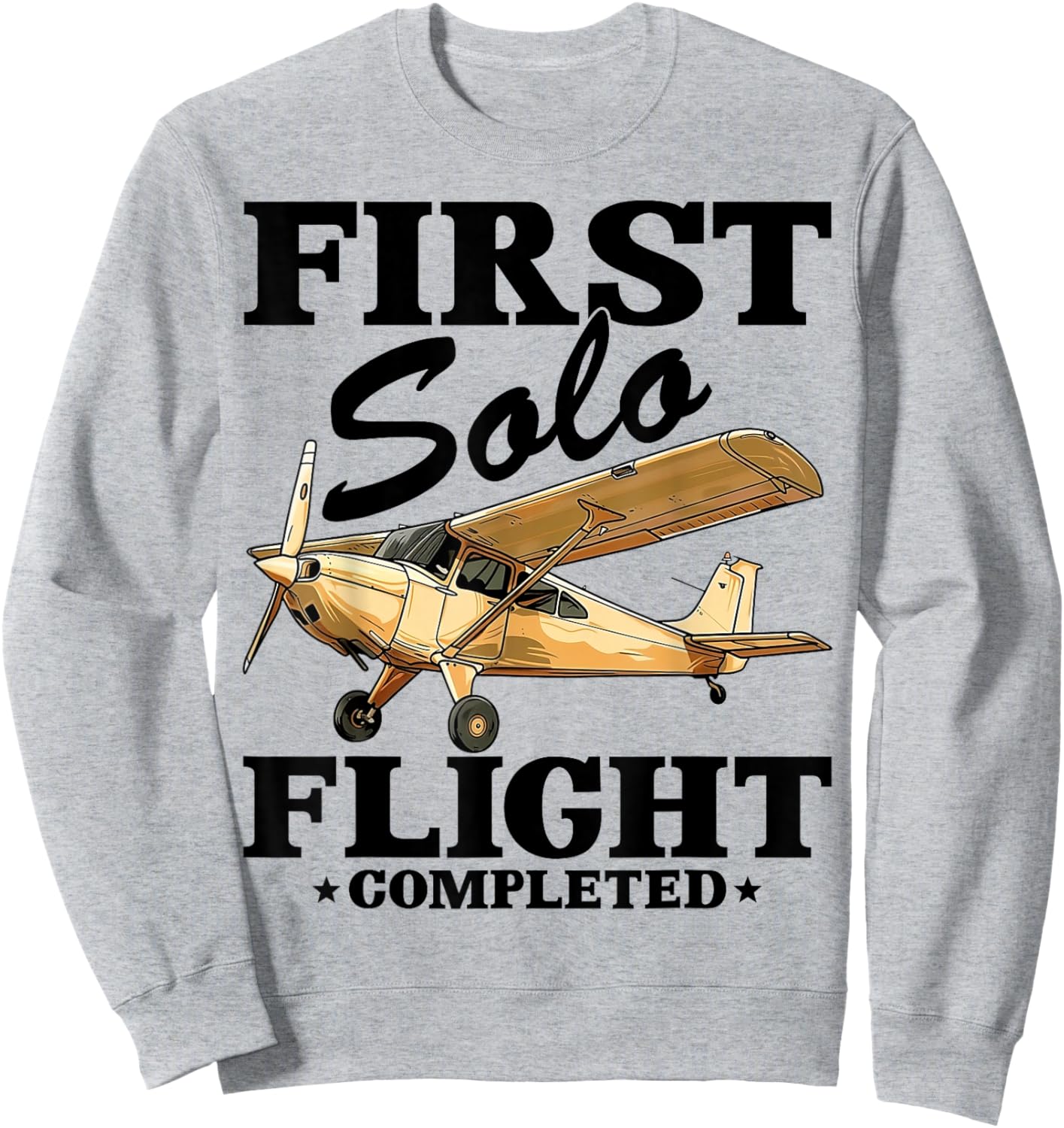 Pilot First Solo Flight Completed Aviation Funny Gift Sweatshirt - Sweatshirt | Ash