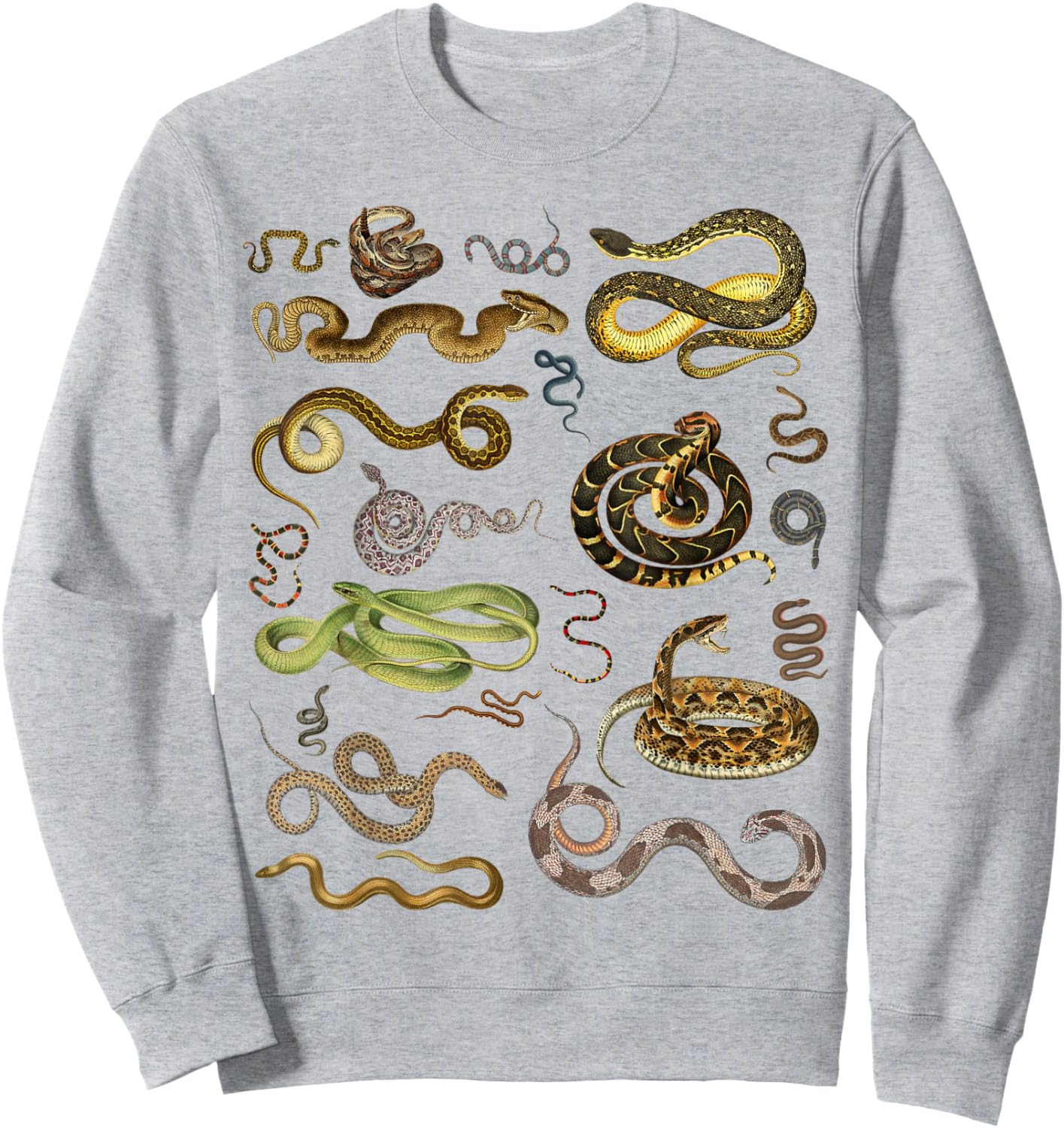 Types Of Snakes Educational Herpetologist Kids Boys Girls Sweatshirt - Sweatshirt | Ash